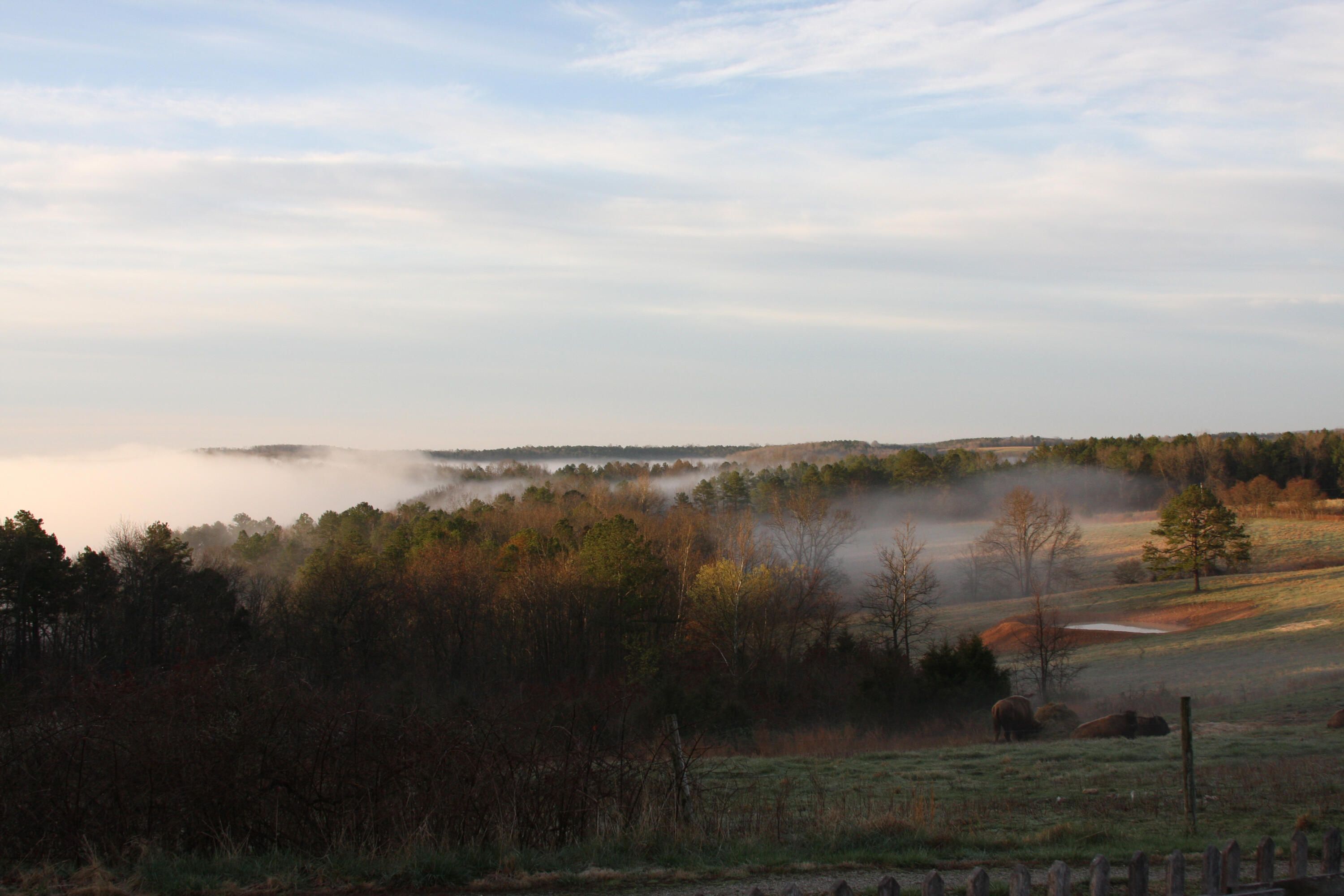 27 Acres, 1 Rural Route 1 Box 720, Vanzant, MO 65768 Land and Farm