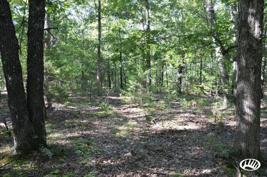 Bismarck Ridge Road, LotWP002, Caledonia, MO 63631 Land and Farm