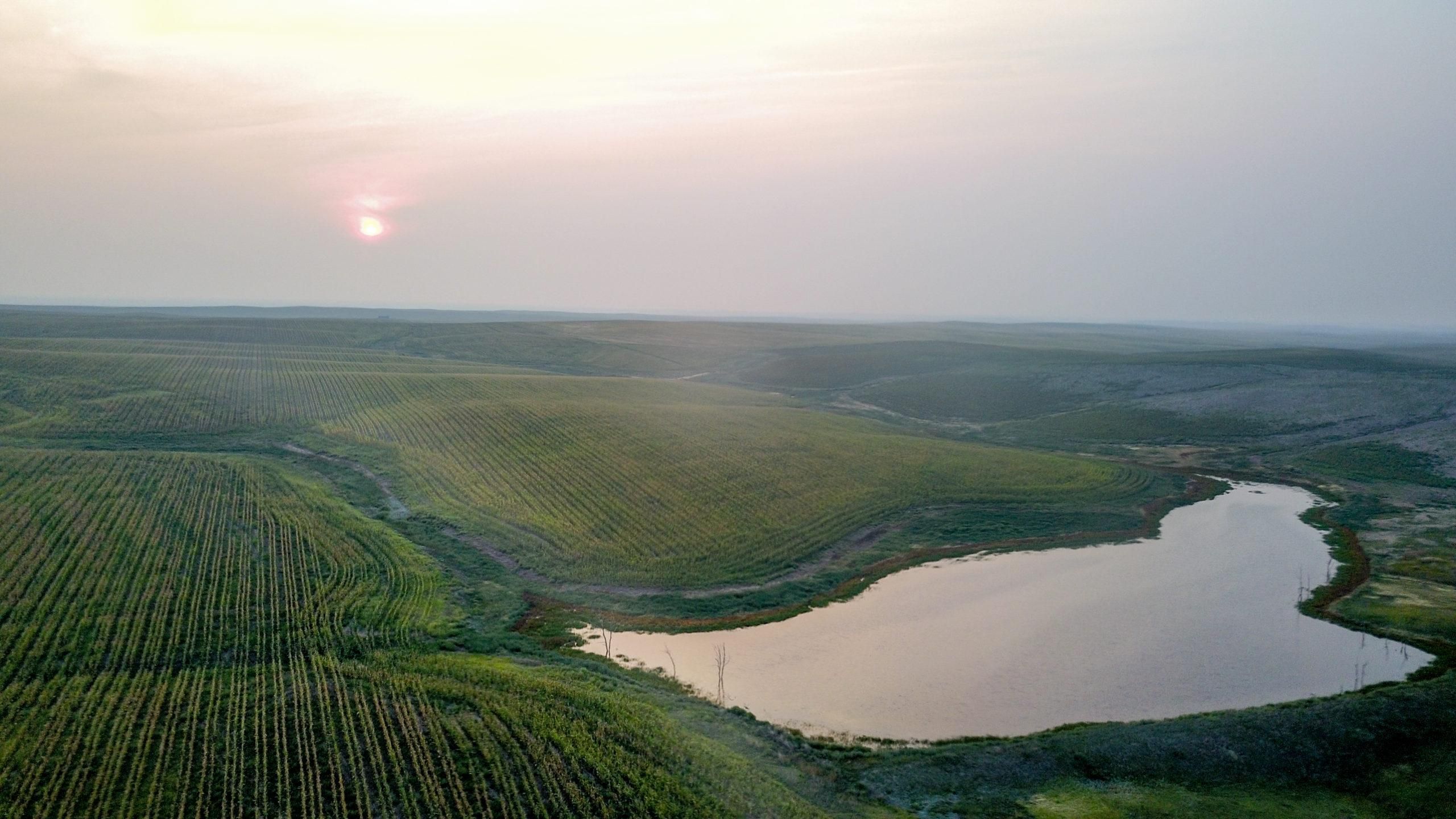 HWY34 Haakon County Hideout, Philip, SD 57537 Land and Farm