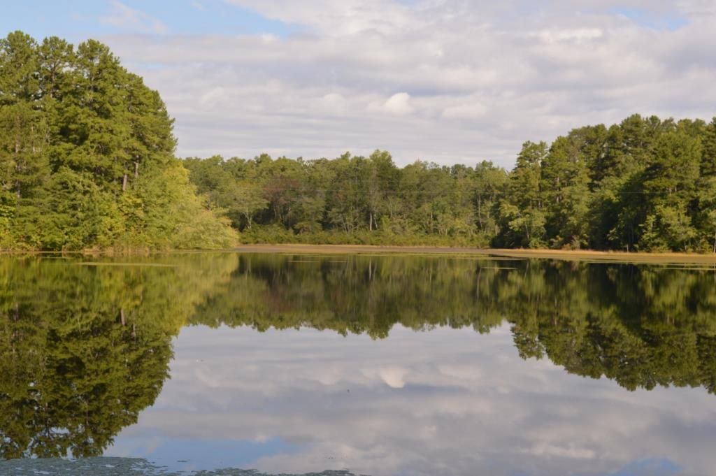 00 Chalmers Mountain Road, Walhalla, SC 29691 MLS 1454336 Land and