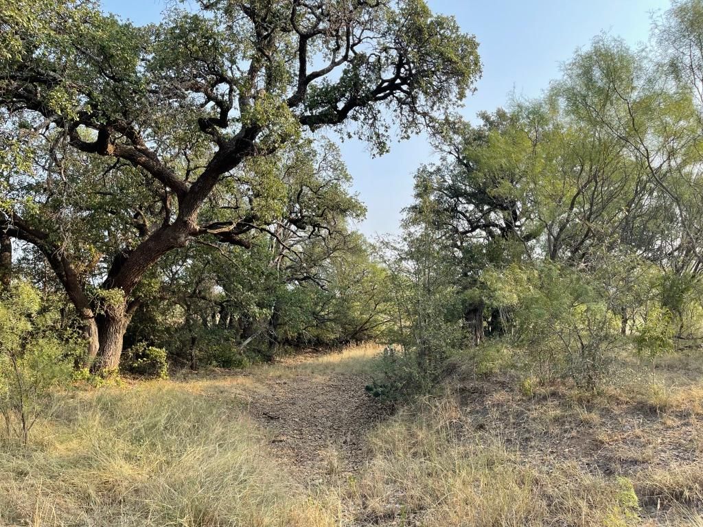 100 Acres, 1108 County Road 226, Rockwood, TX 76873 Land and Farm