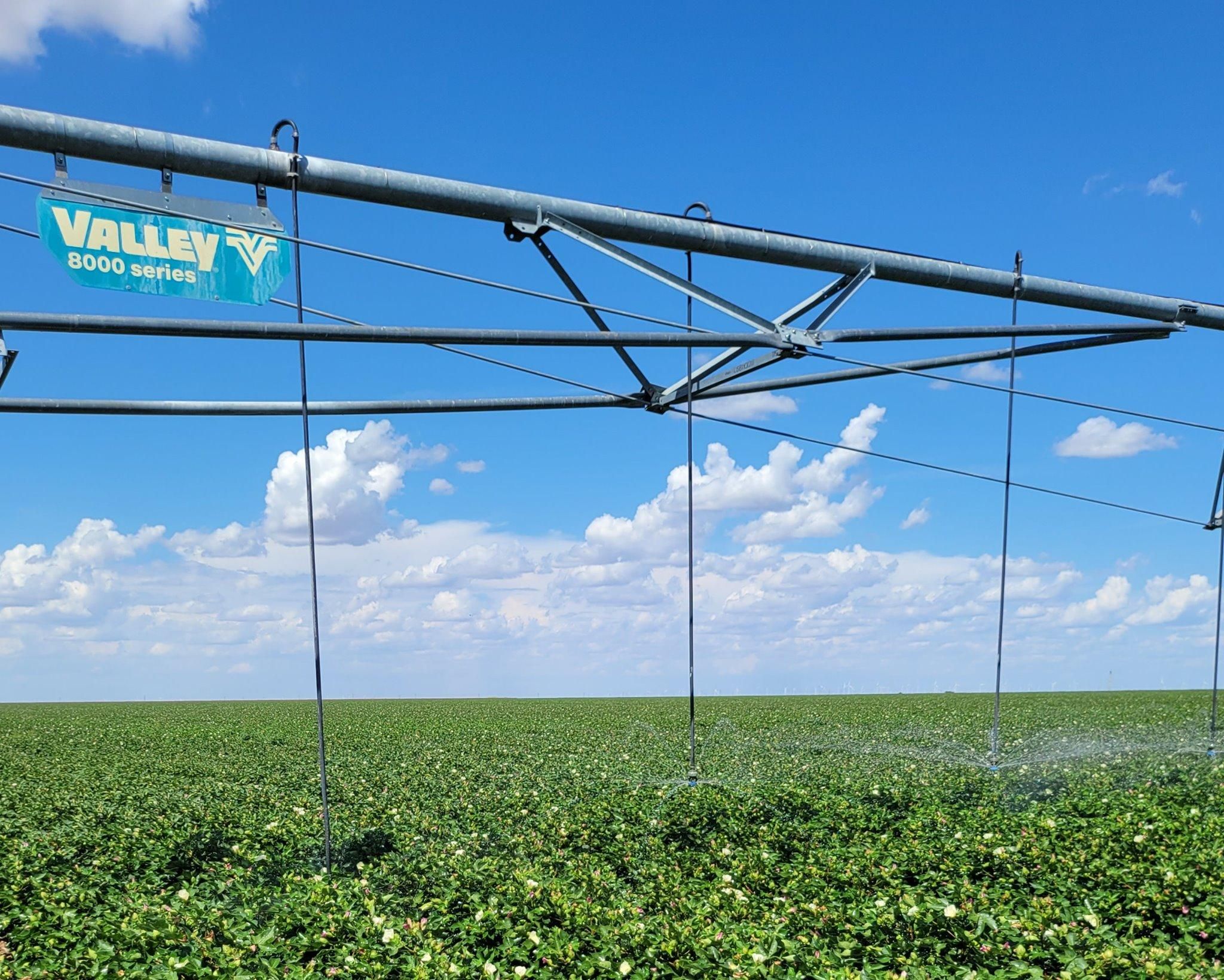 3,936 Acres, Haskell, TX 79521 Land and Farm