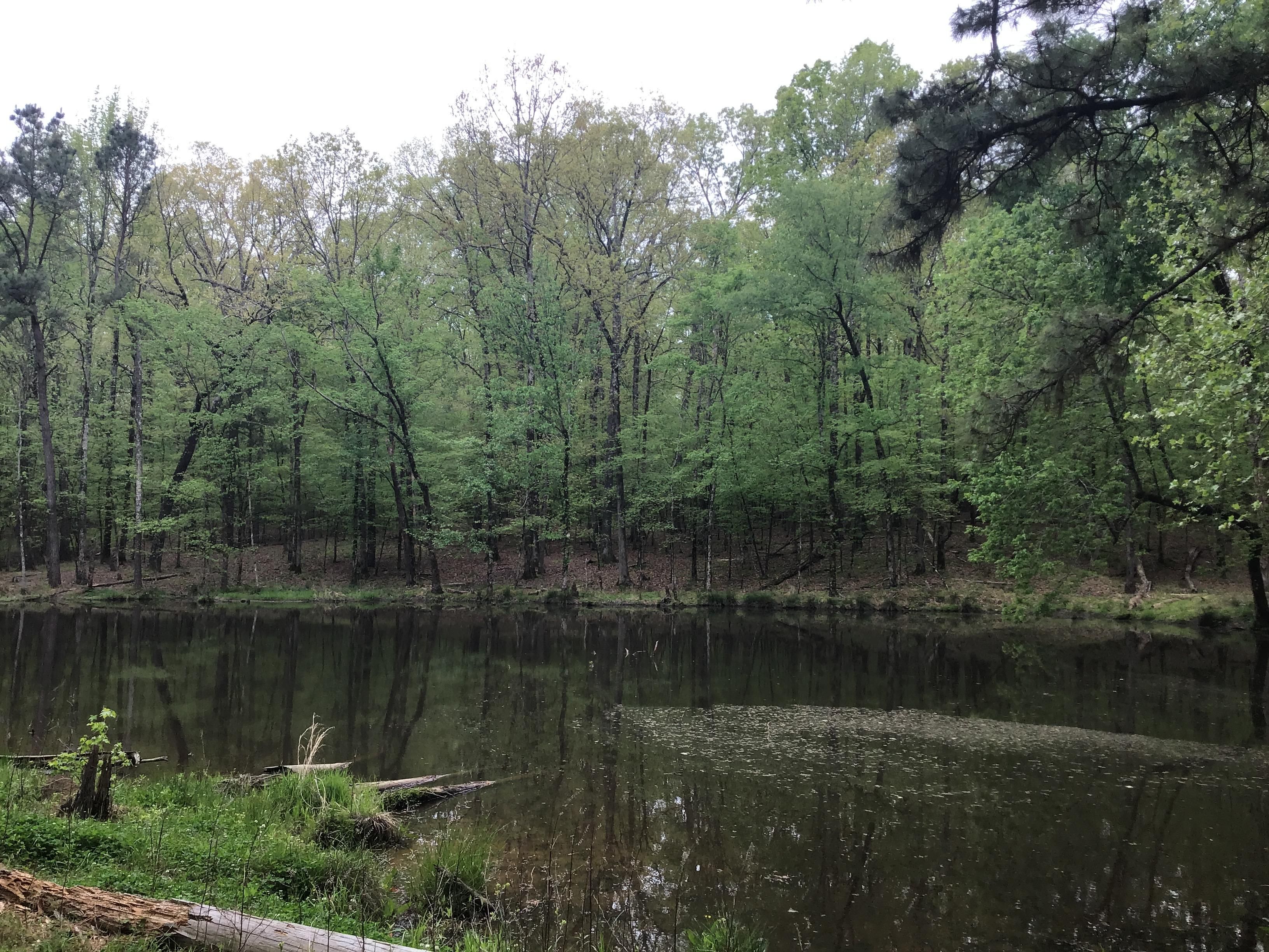 80.76 Acres, Dierks, AR 71833 Land and Farm