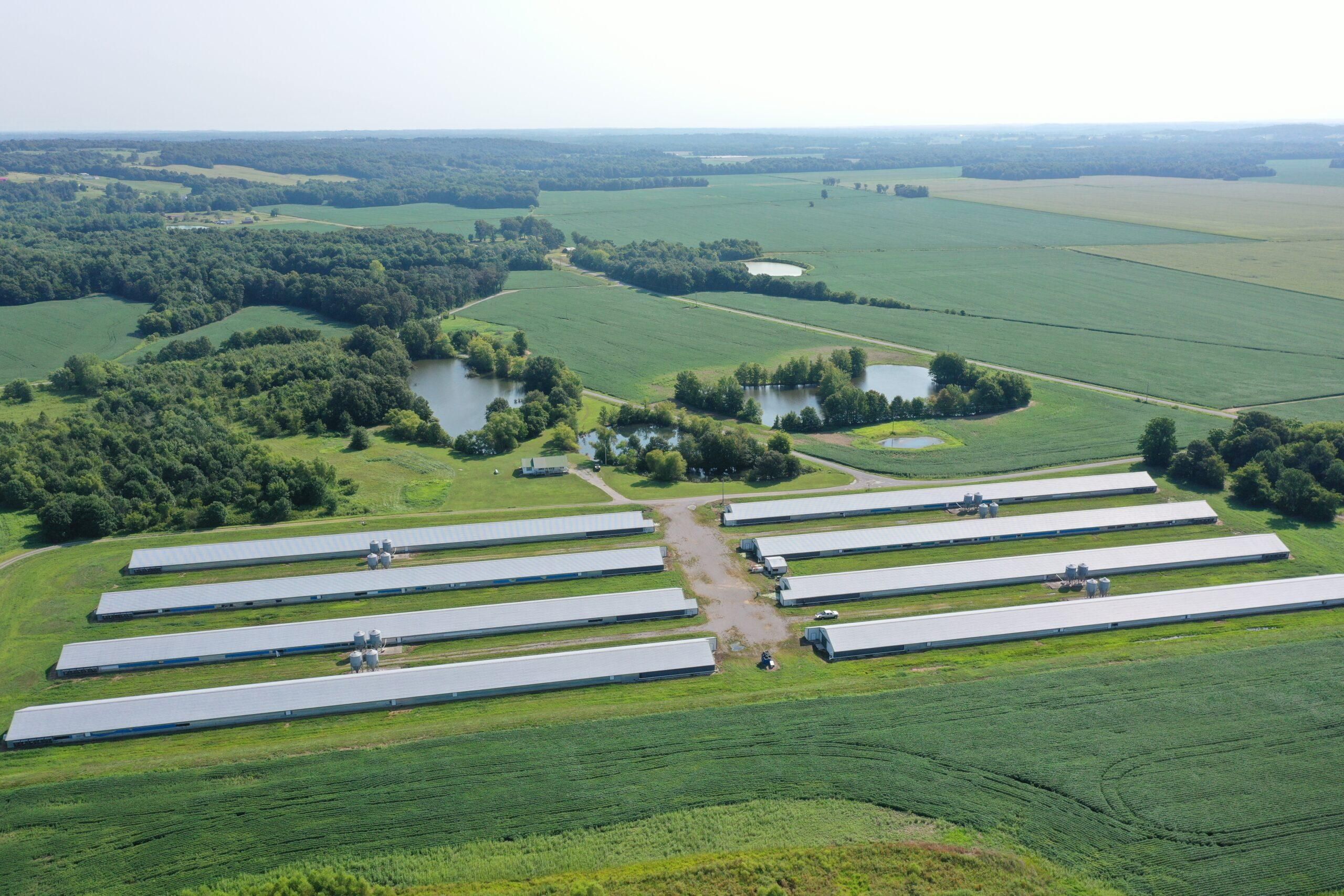 59 Acres, Honeysuckle Lane, Sebree, KY 42455 Land and Farm