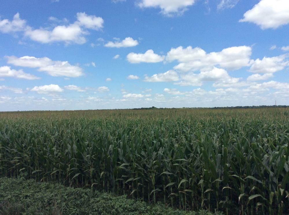 547 acres in Chetopa, KS, Land and Farm