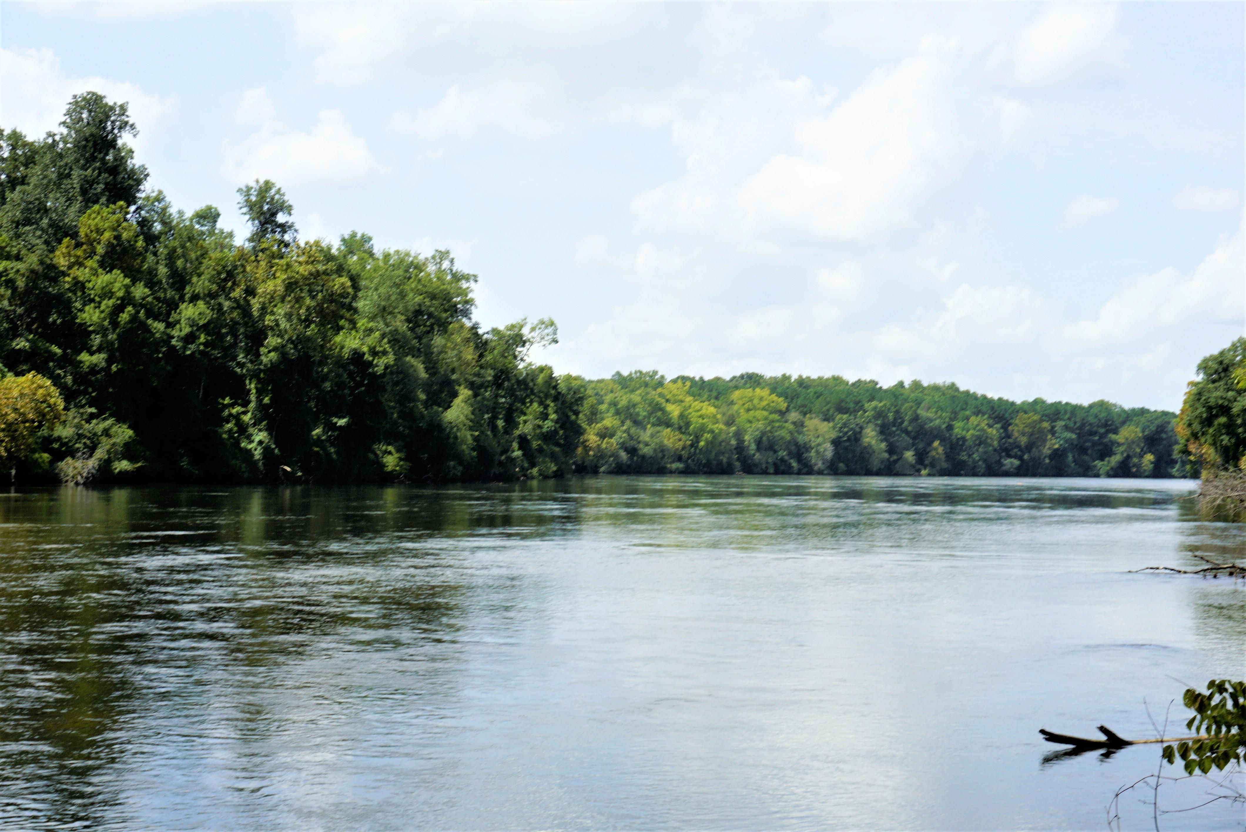 86 Acres, Dobys Bridge Road, Fort Mill, SC 29715 Land and Farm