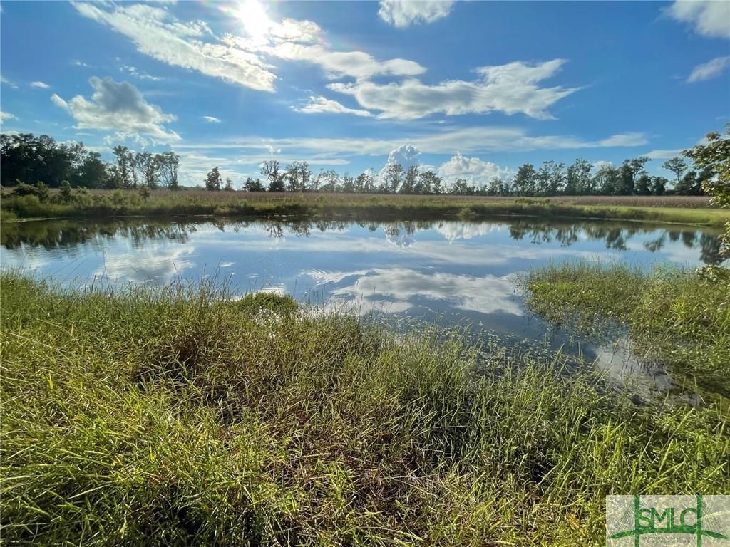 20 Acres, 0 Grooms Lane, Guyton, GA 31312 Land and Farm