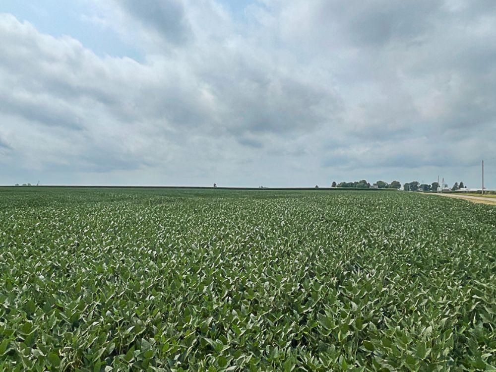 558.75 acres in Toulon, IL, Land and Farm