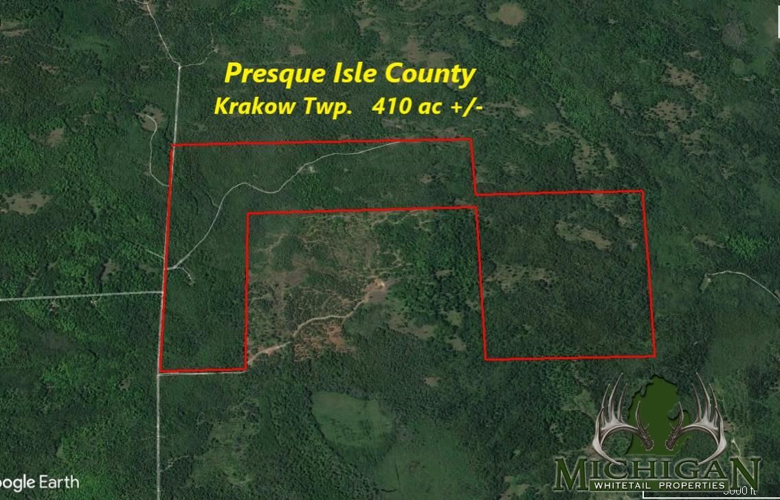 410 Acres, 11685 Clinton Creek Rd, Posen, MI 49776 Land and Farm