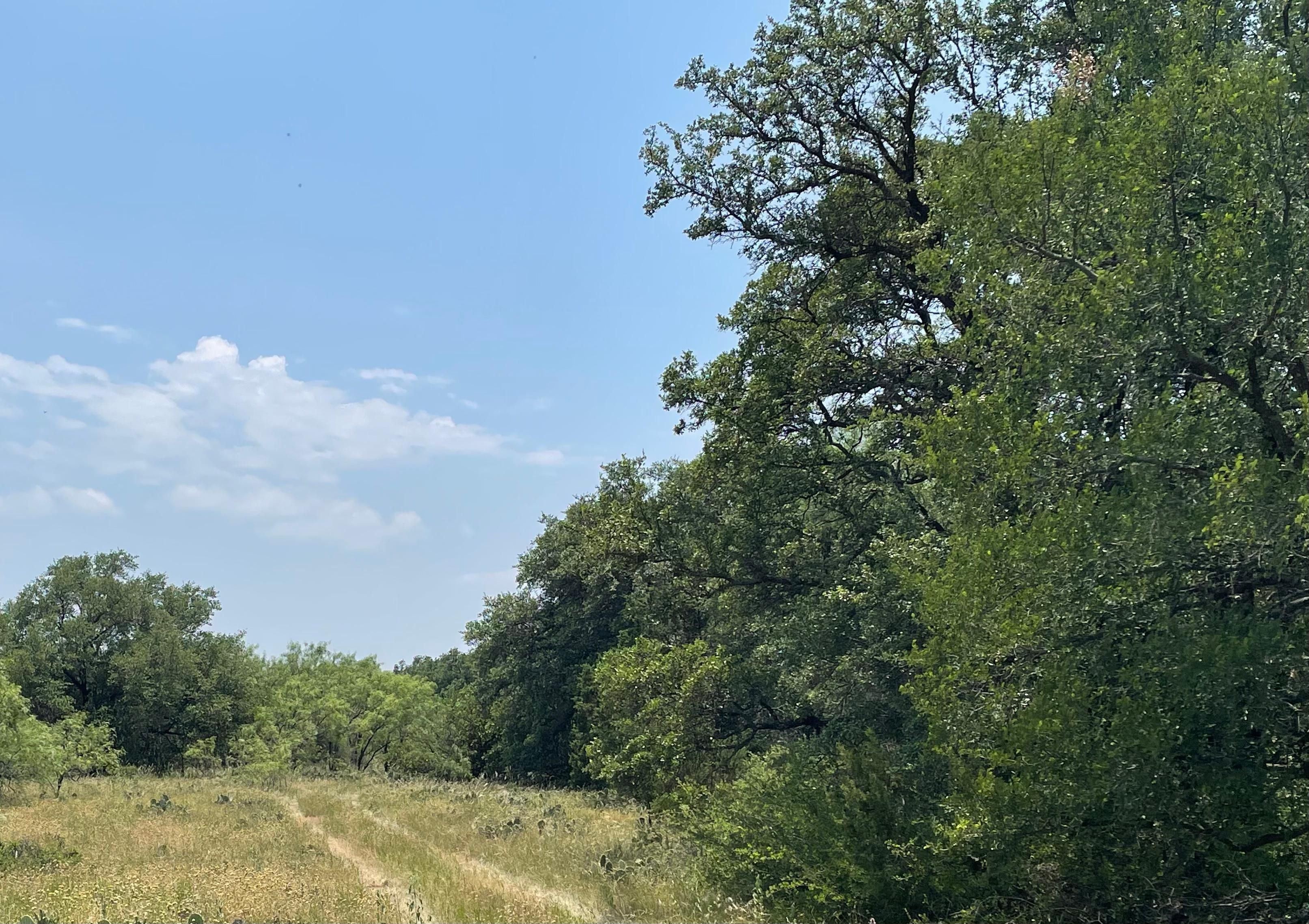 9.46 Acres, Hwy 377 S., Brookesmith, TX 76827 Land and Farm