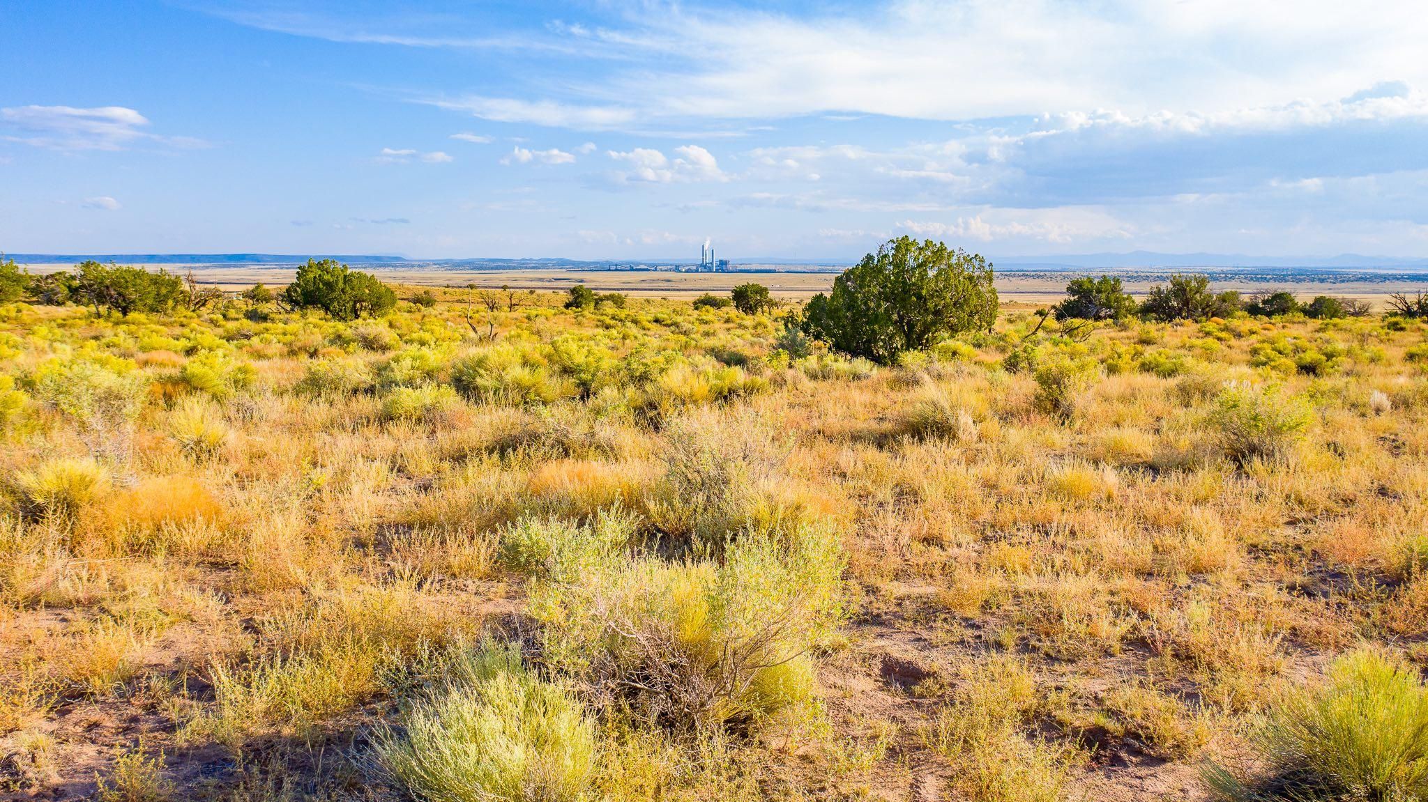 40.77 acres in Saint Johns, AZ, 85936 MLS 03502021AZAPA Land and