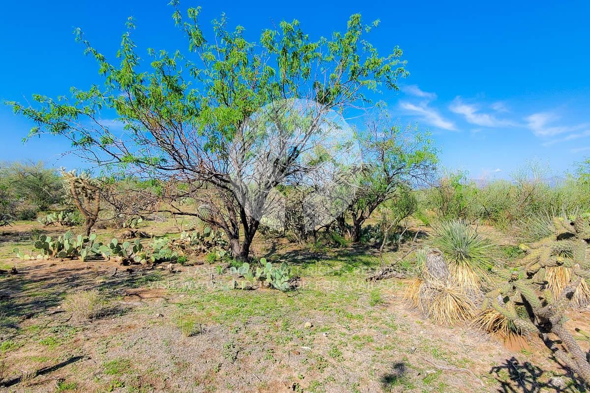 14406 W Diamond Bell Ranch Rd, Tucson, AZ 85736 | Land and Farm