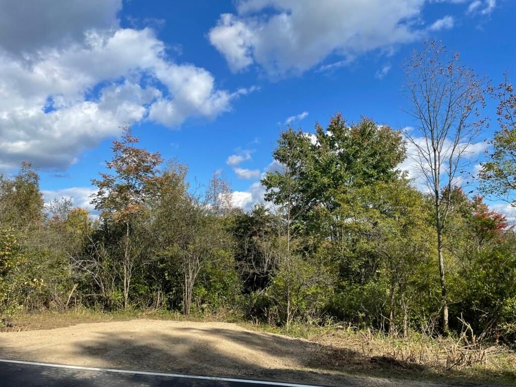 5 Acres, Basswood Hill Road, Angelica, NY 14709 Land and Farm