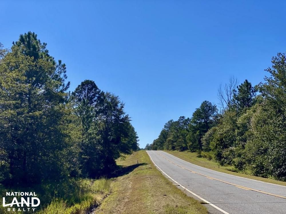 0 Hwy 46, Cadwell, GA 31009 Land and Farm