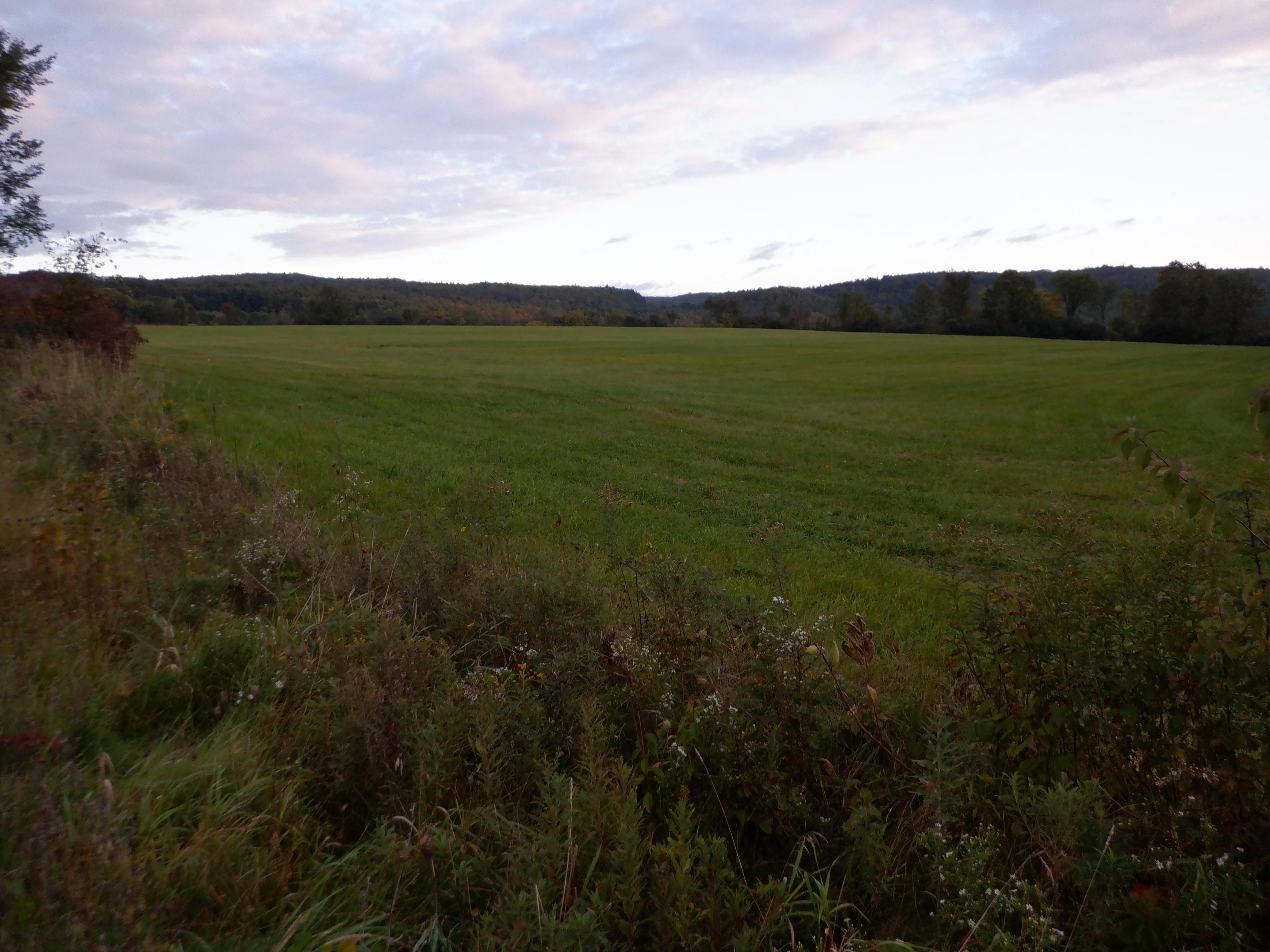 Mill Pond Road, Benson, VT 05743 Land and Farm