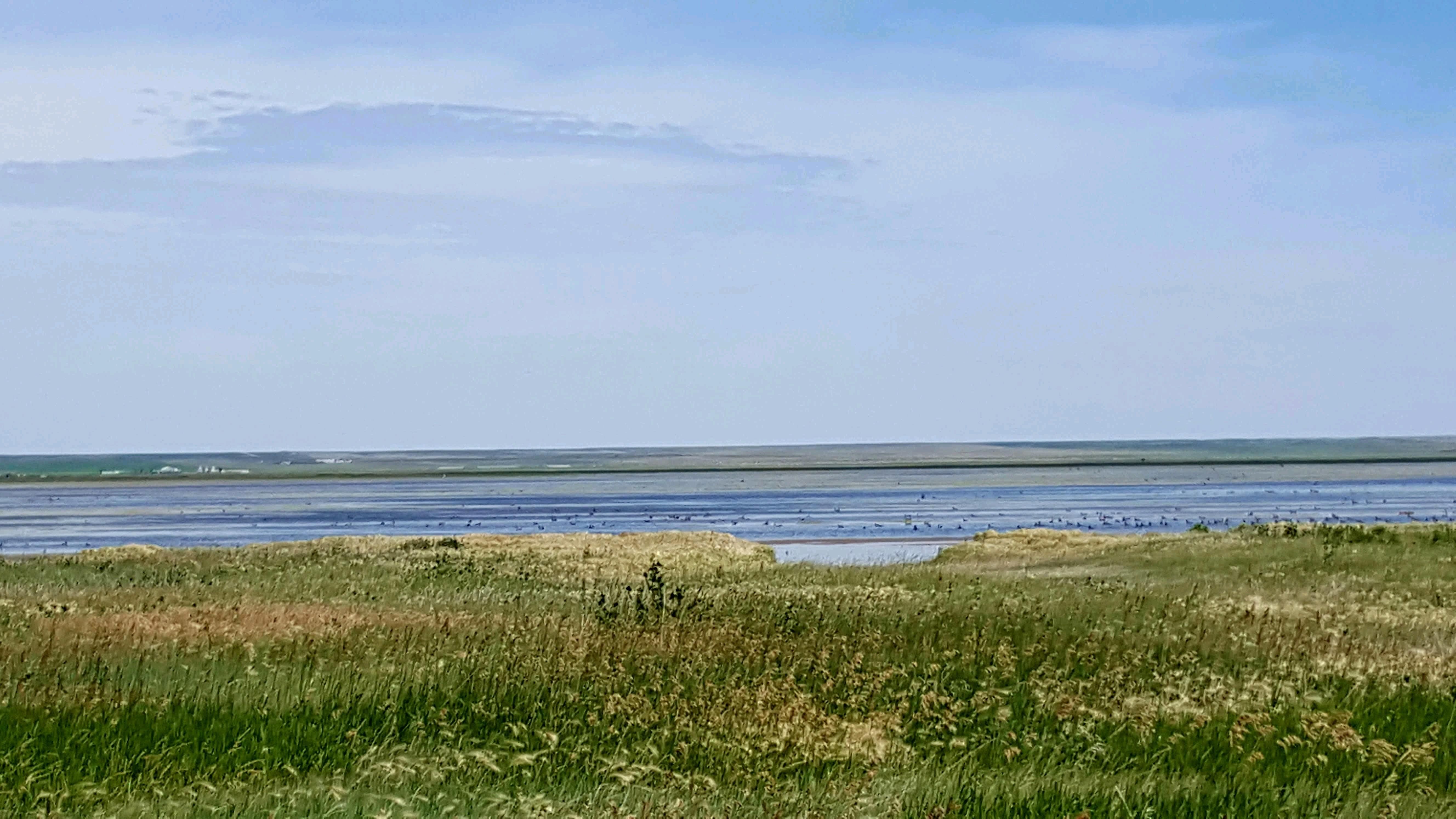 320 Acres, 320 Acres Golf Course Rd, Roundup, MT 59072 Land and Farm