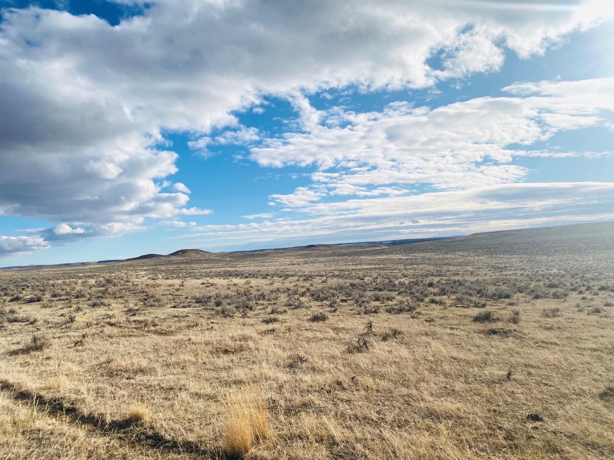 196.63 Acres, NHN Old Rd, MT 59087 Land and Farm