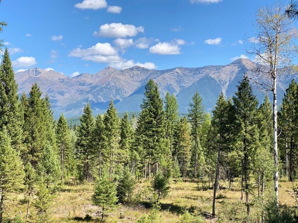 85 Acres, 409 Milky Way, Condon, MT 59826 Land and Farm