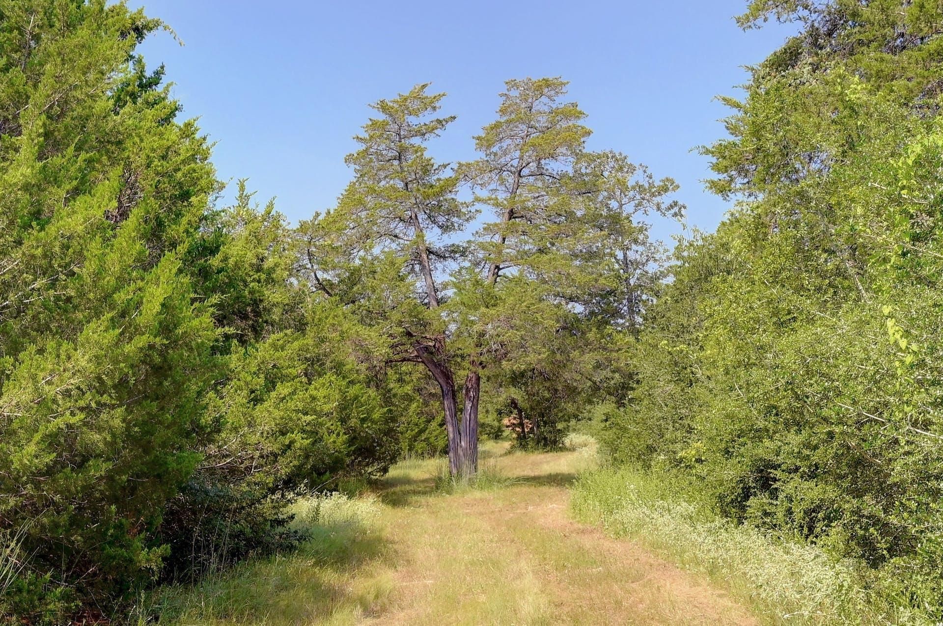 3057 Sand Hill RD, McMahan, TX 78616 MLS 450927 Land and Farm