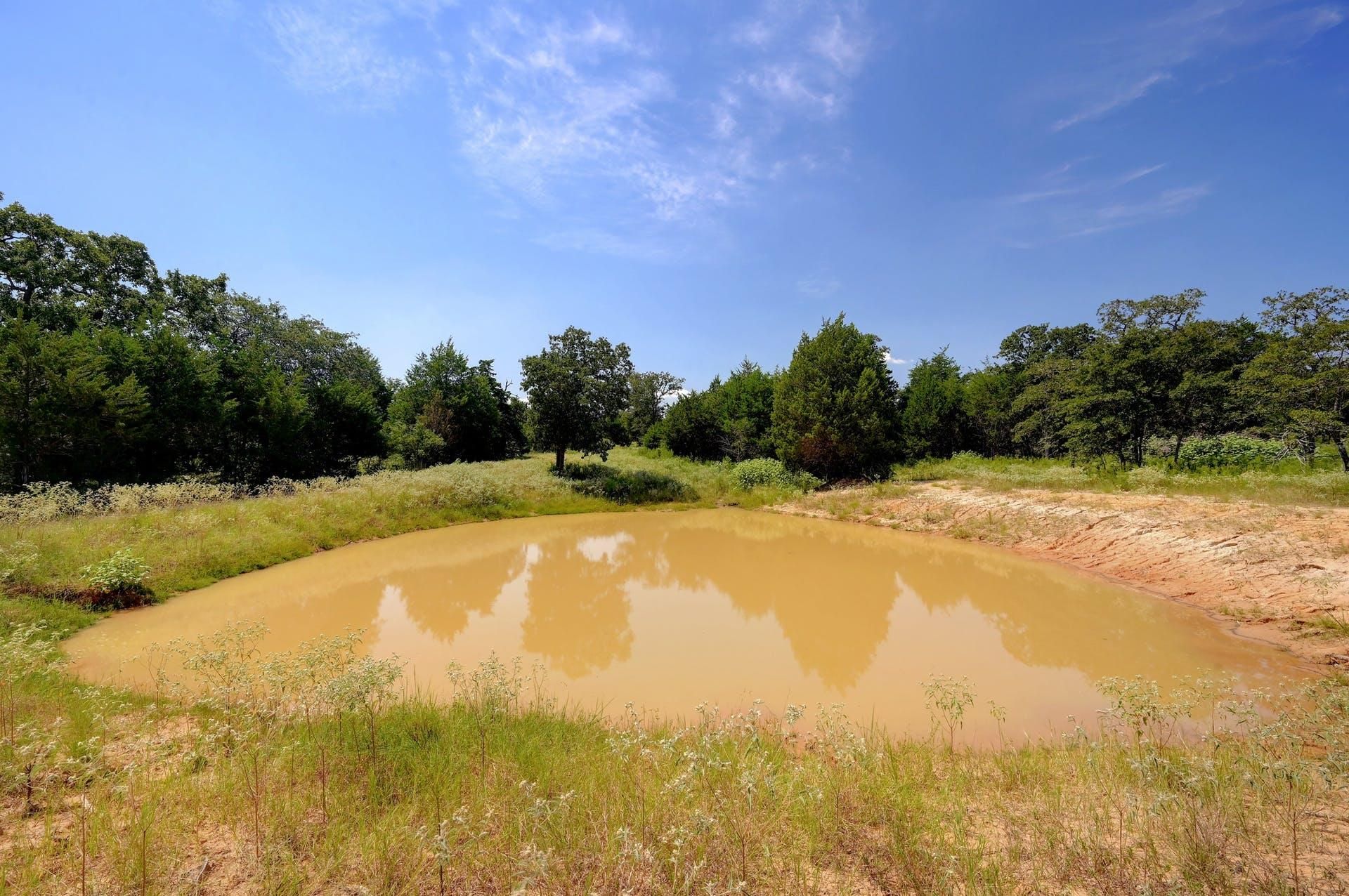 21.17 Acres, Mcmahan, TX 78616 Land and Farm