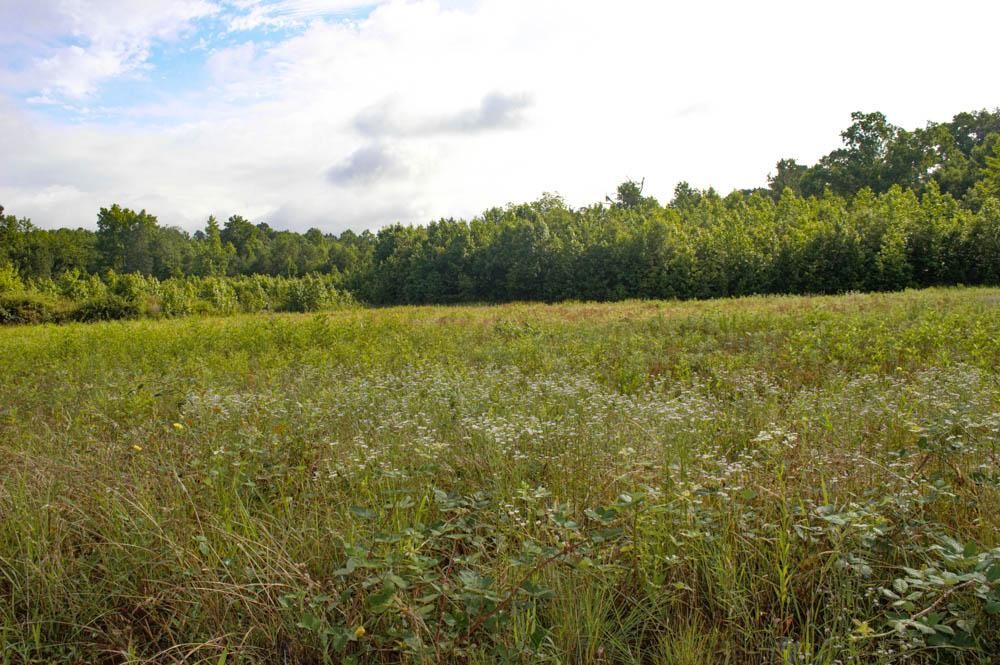 24.09 Acres, Buck Shoals Road, Gaffney, SC 29341 Land and Farm