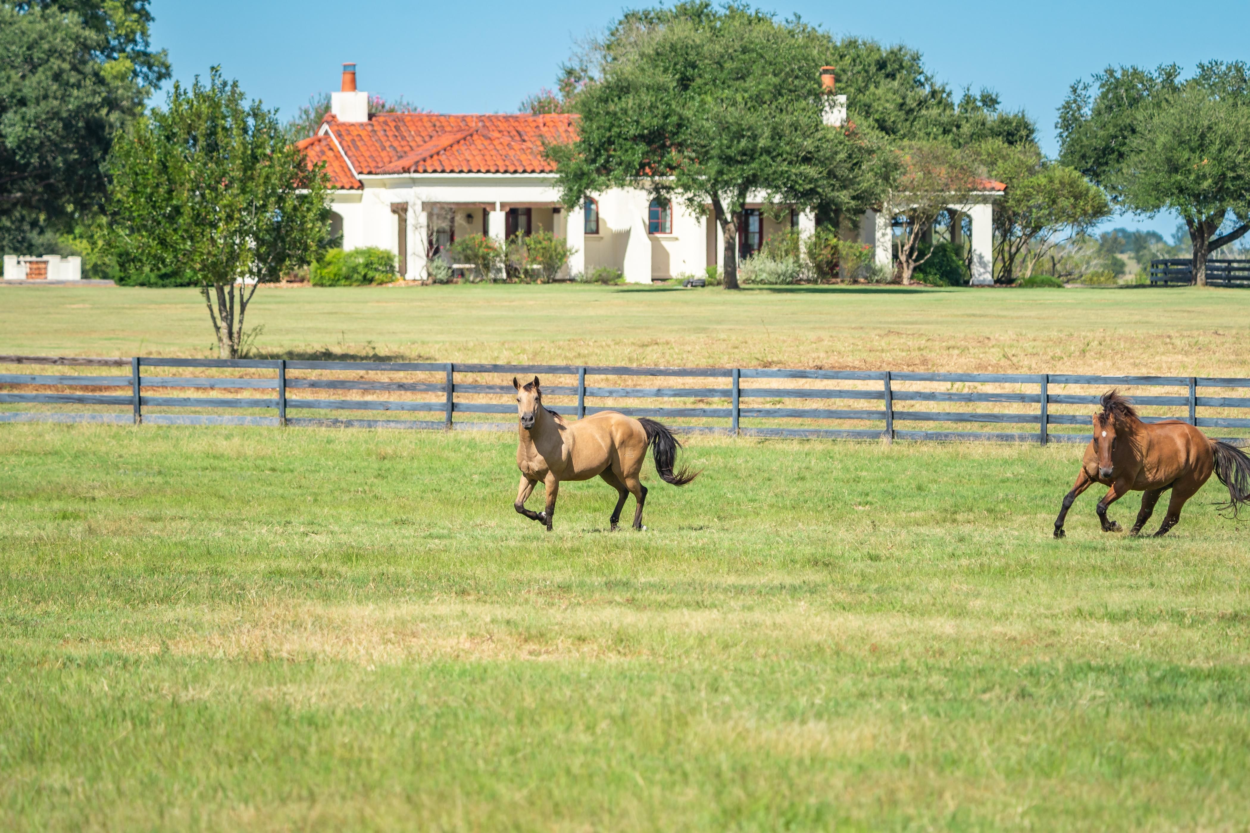 313 acres in Chappell Hill, TX, 77426 Land and Farm