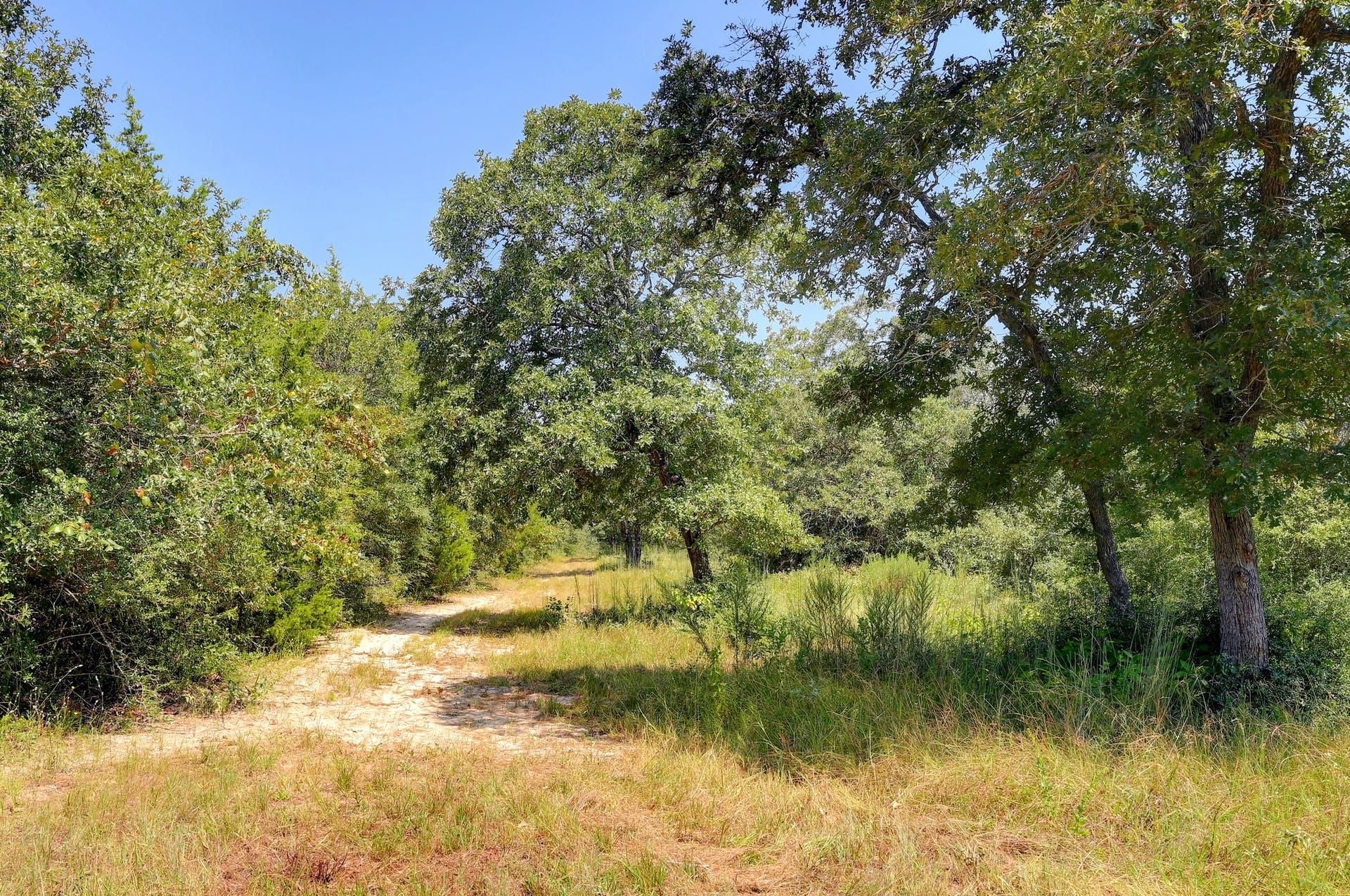 18.64 Acres, Mcmahan, TX 78616 Land and Farm