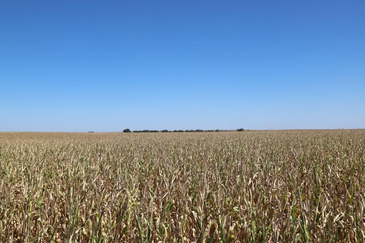 638 Acres, Chappell, NE 69129 Land and Farm