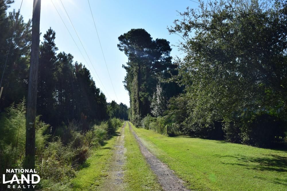 14.7 Acres, 0 Marion Woods TR, Bonneau, SC 29431 Land and Farm