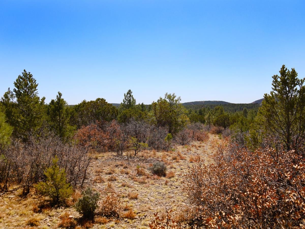 0.6 Acres, A5584, Timberon, NM 88350 Land and Farm