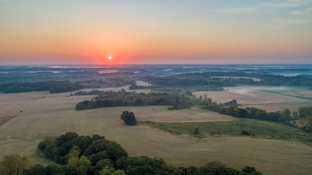 168 Acres, 000 County Road 2525, Ramsey, IL 62080 Land and Farm