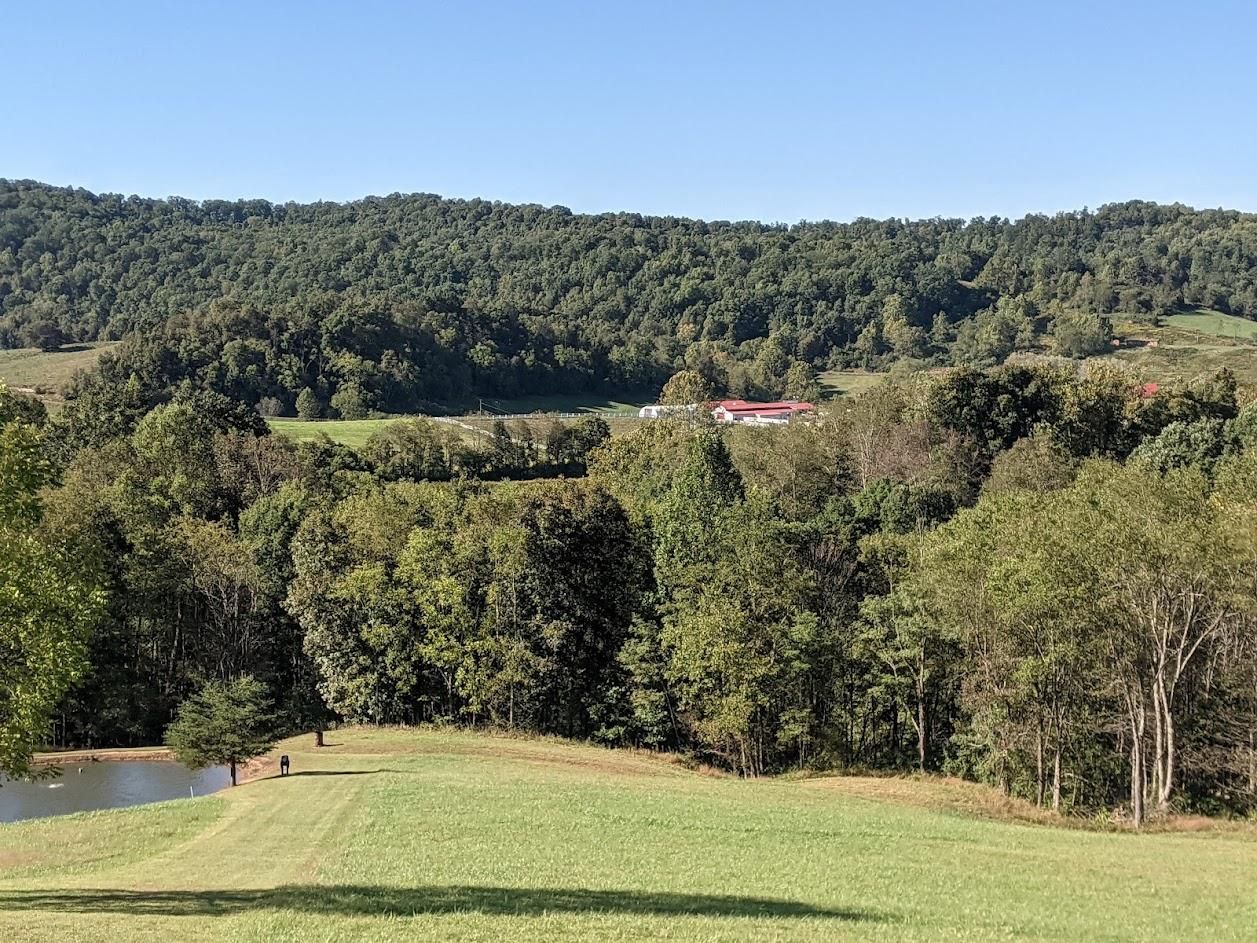 30.75 Acres, 231 Ross Run, Alma, WV 26320 Land and Farm
