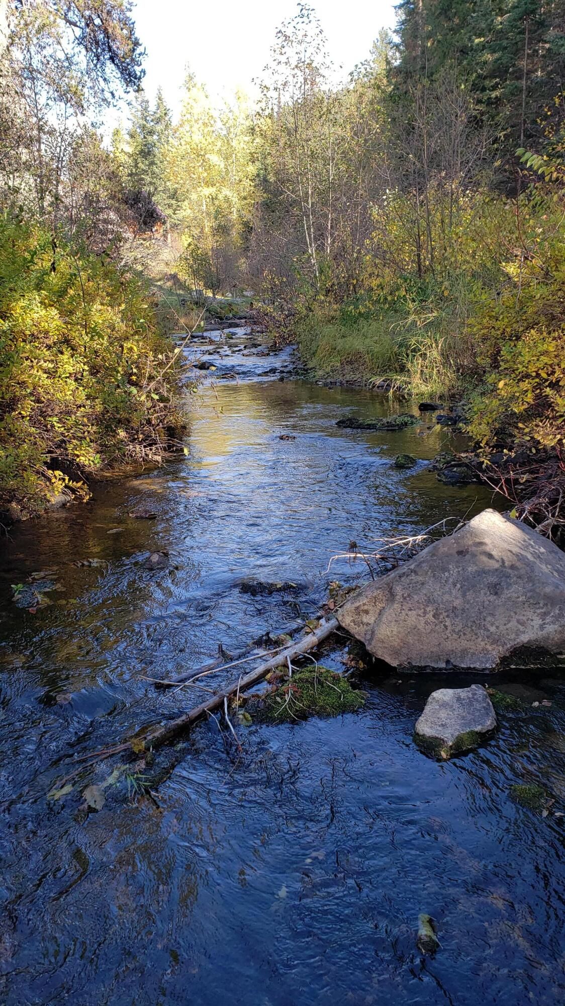 5 Acres, 172X STATE RTE 20, Colville, WA 99114 Land and Farm