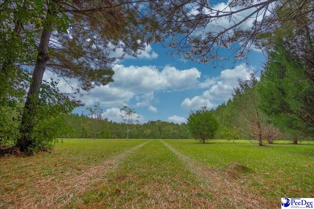 34 Acres, 6350 Jordan Road, Effingham, SC 295415066 Land and Farm