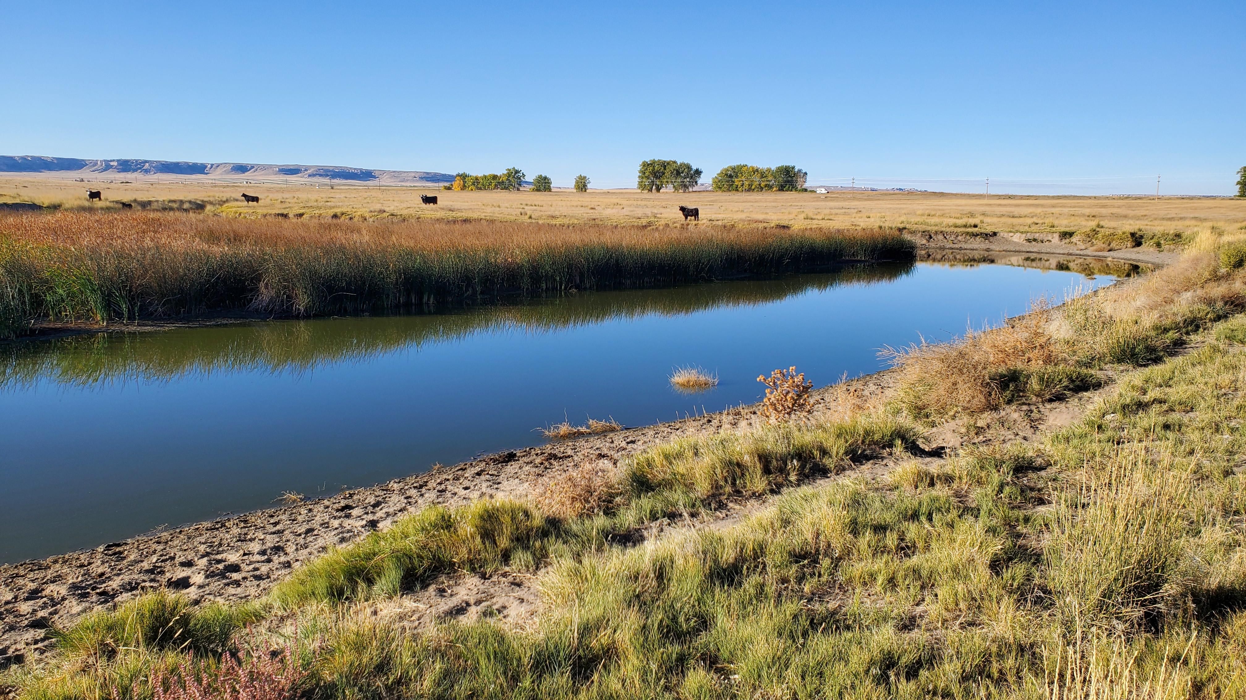 4143 Road 38, Hawk Springs, WY 82217 MLS 2021 Land and Farm