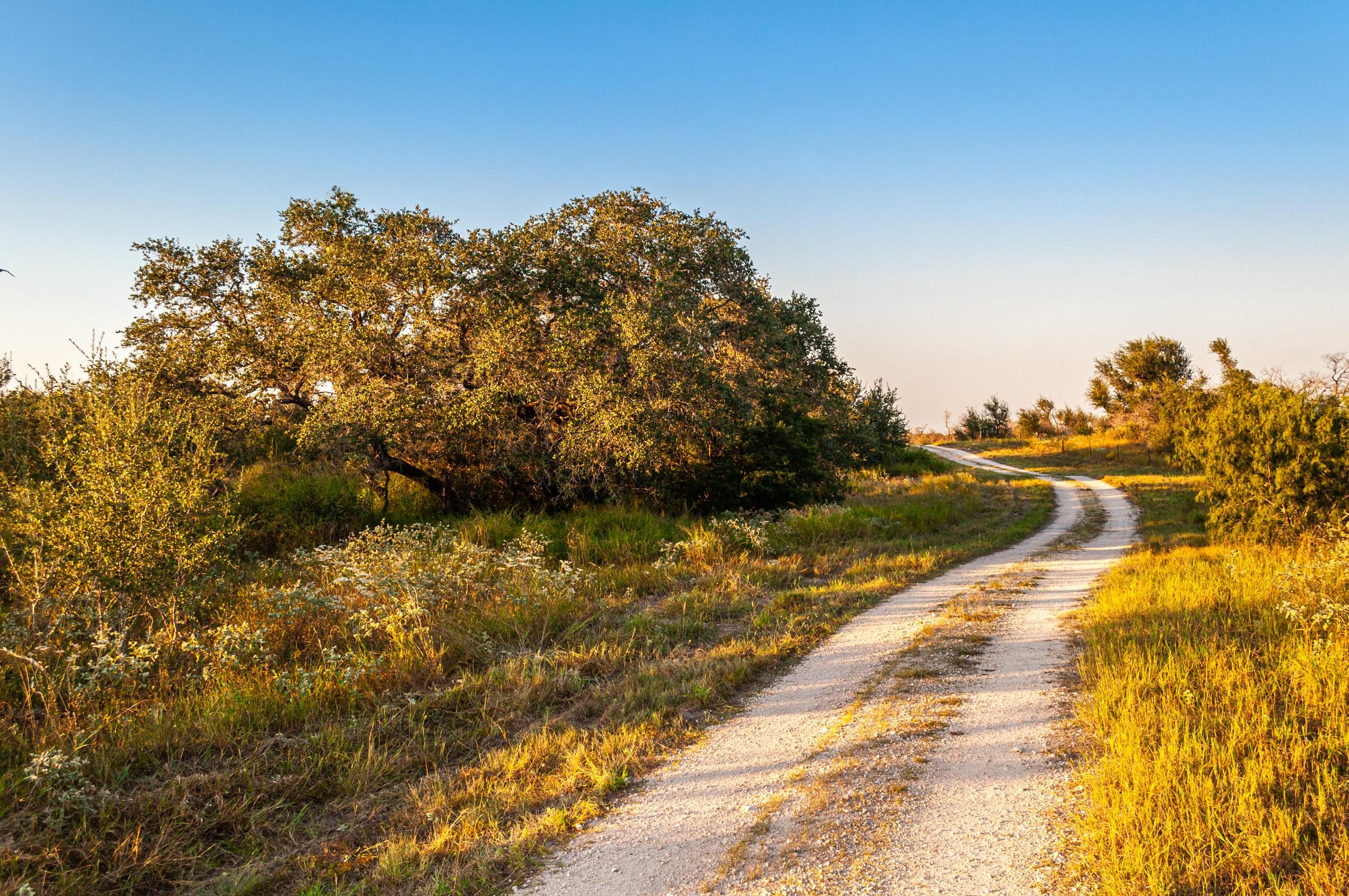 1,719 acres in Falfurrias, TX, 78355 Land and Farm