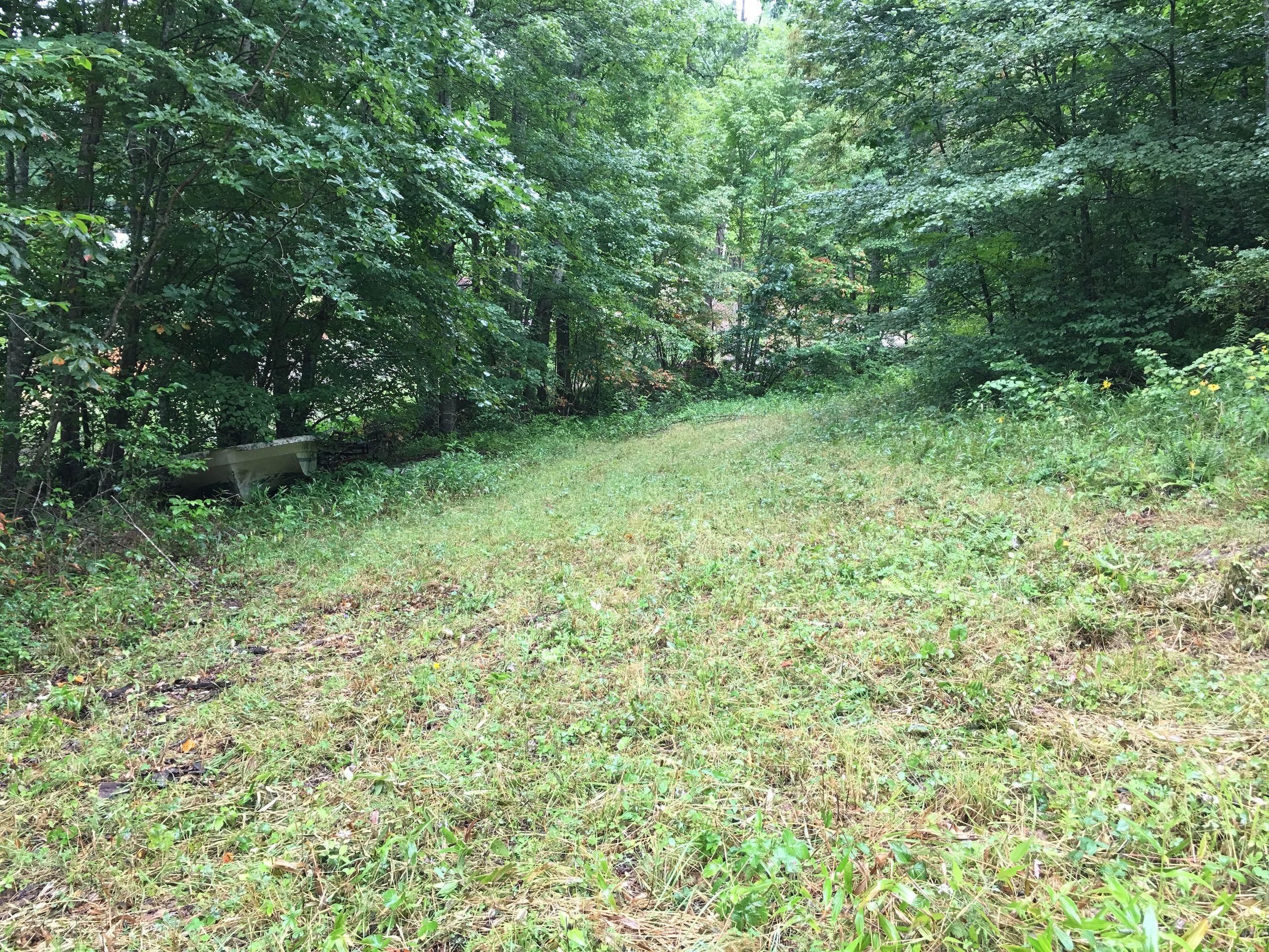 622 Hoilmans Road, Micaville, NC 28755 Land and Farm