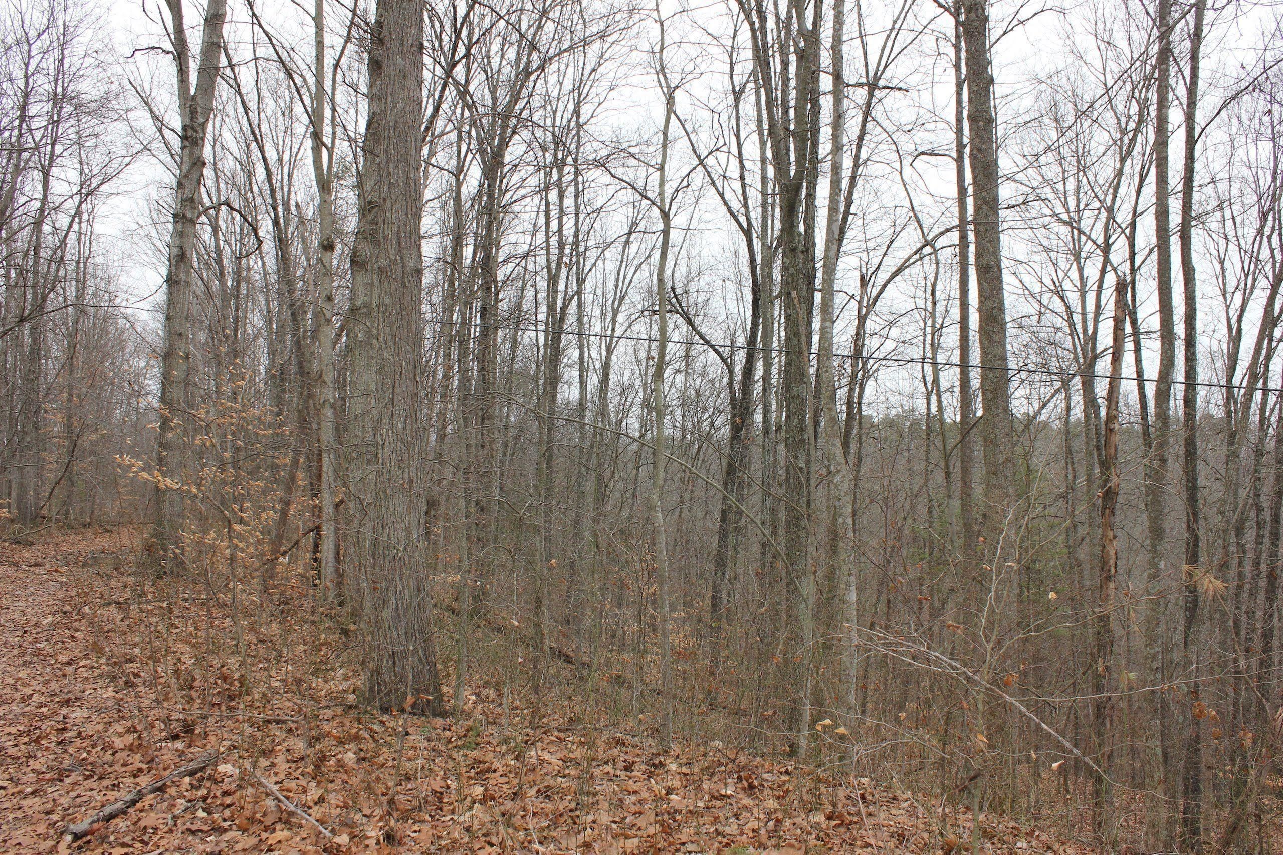Norman Ridge Road, Lot WP001, Big Bend, WV 26136 Land and Farm
