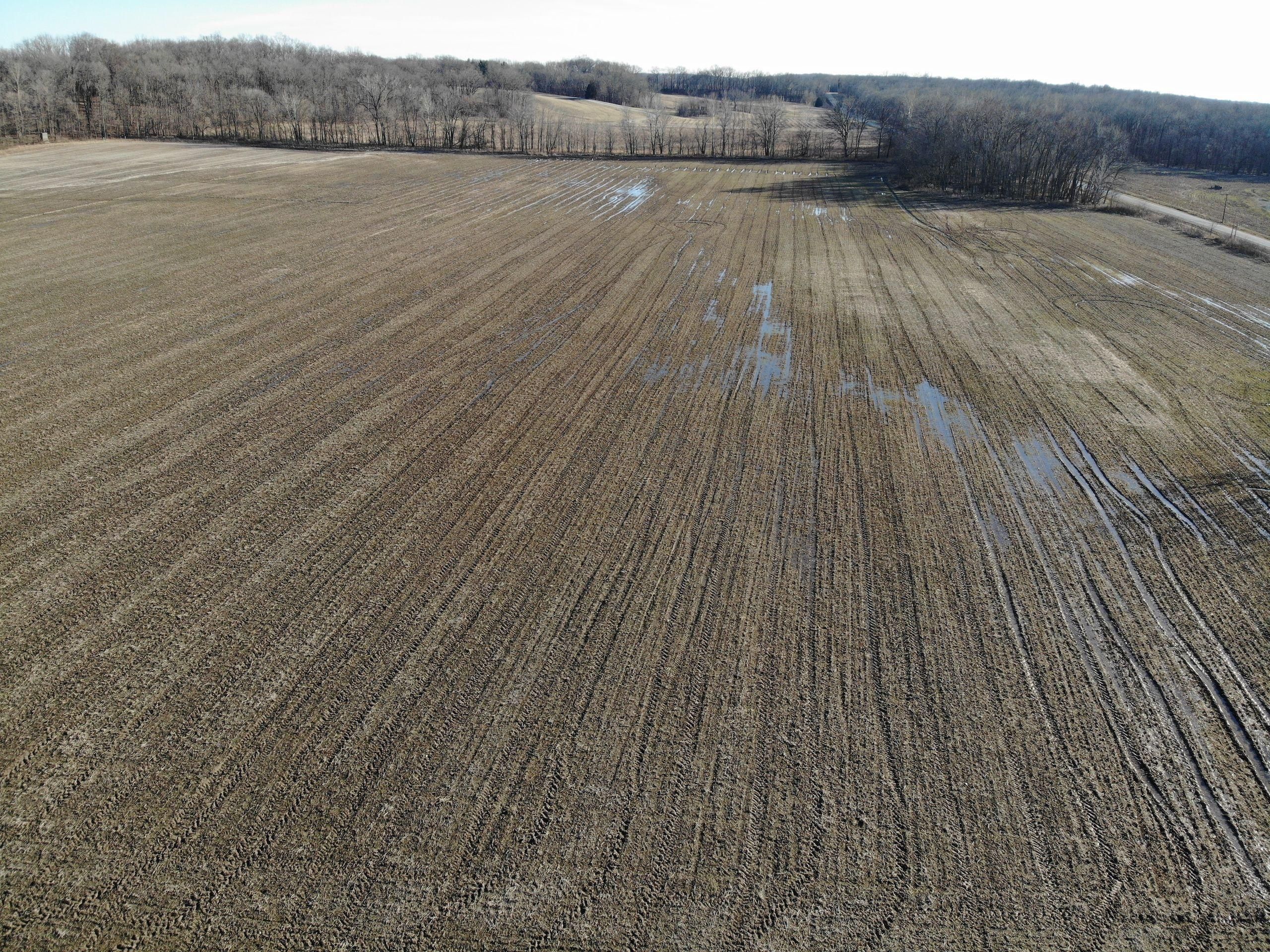 25 Acres, 400th Road, Casey, IL 62440 Land and Farm