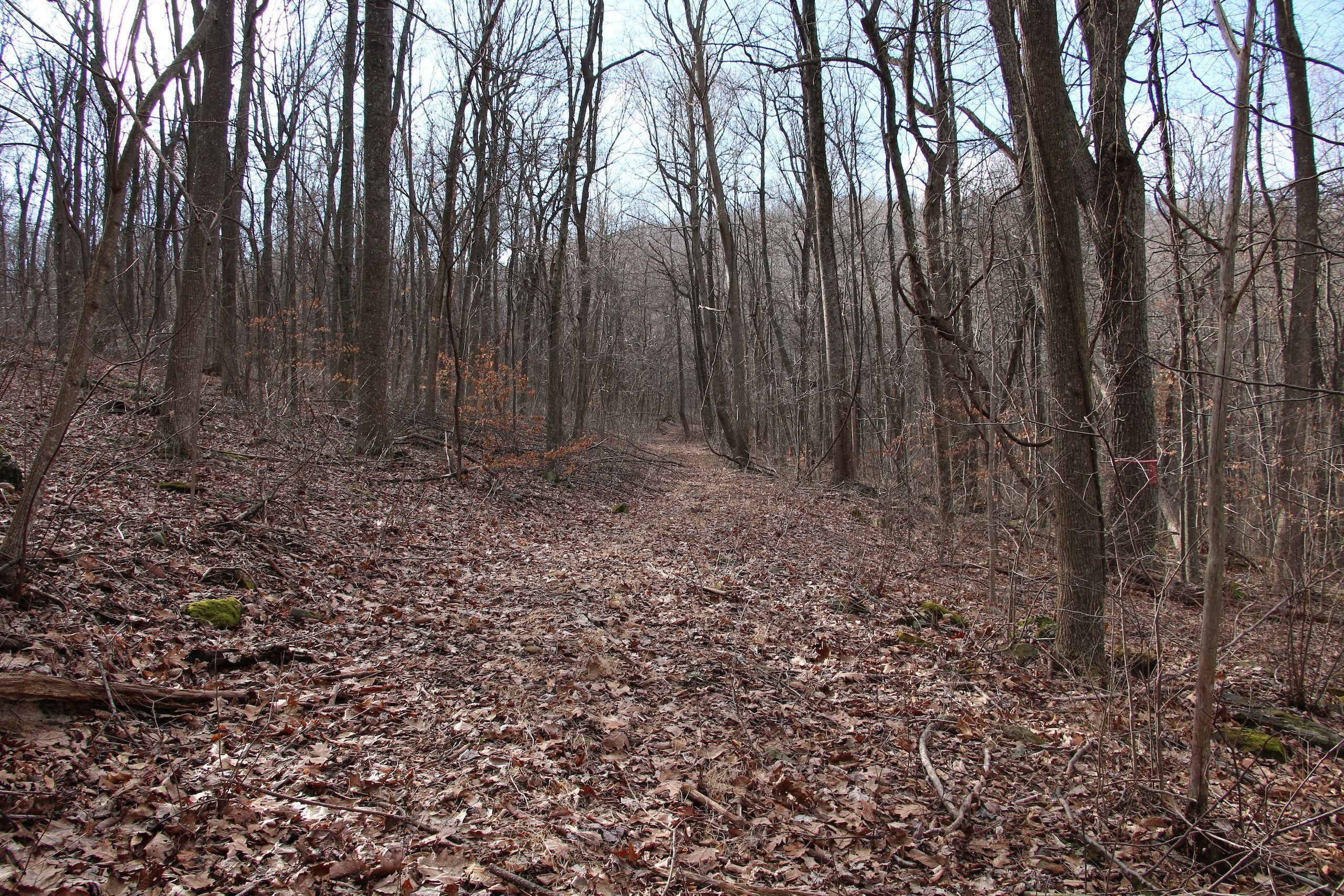 Mosby Springs Road, LotWP001, Linden, VA 22642 Land and Farm