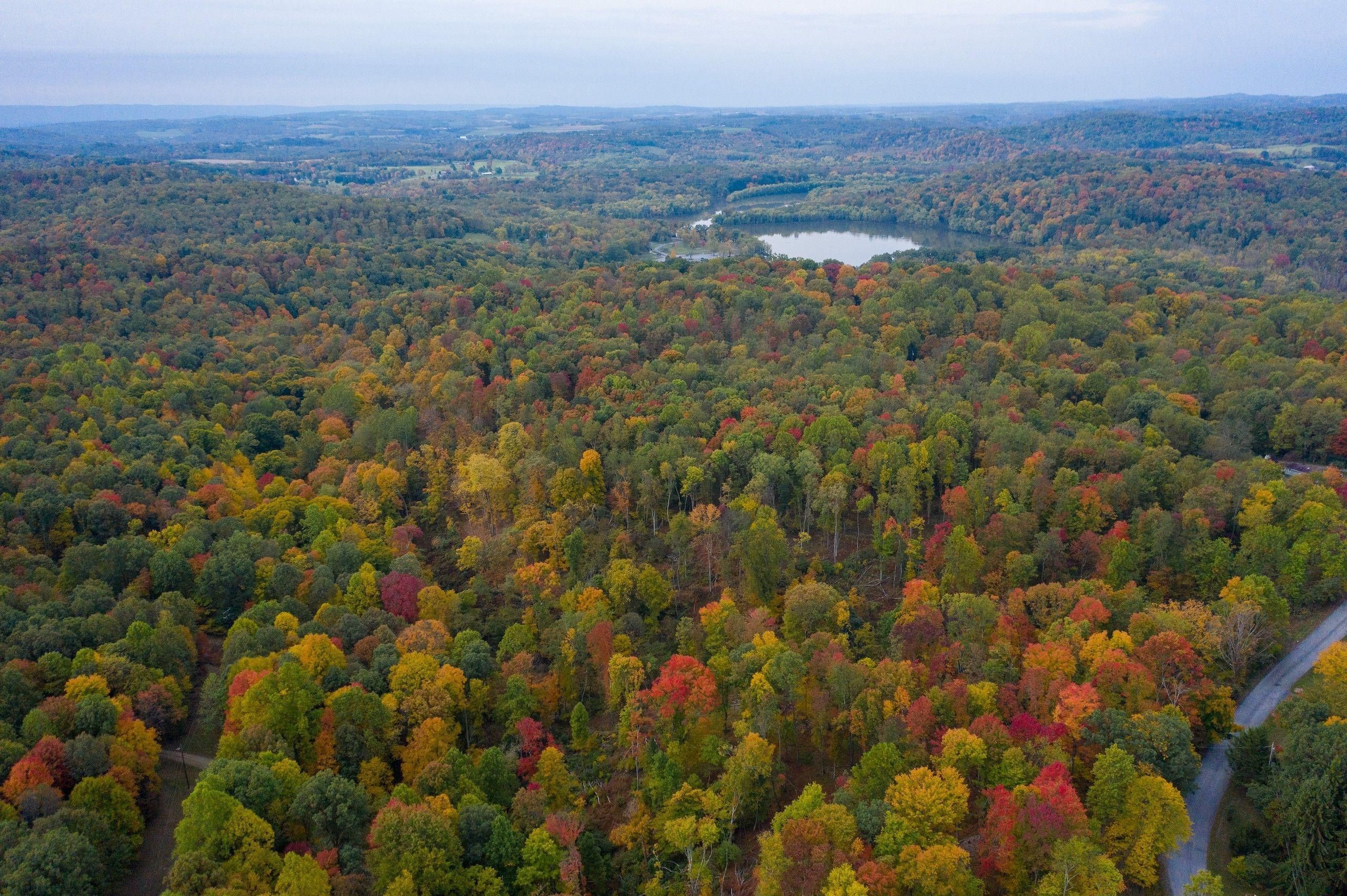 Brush Rd Saltsburg, LotWP001, Saltsburg, PA 15681 Land and Farm