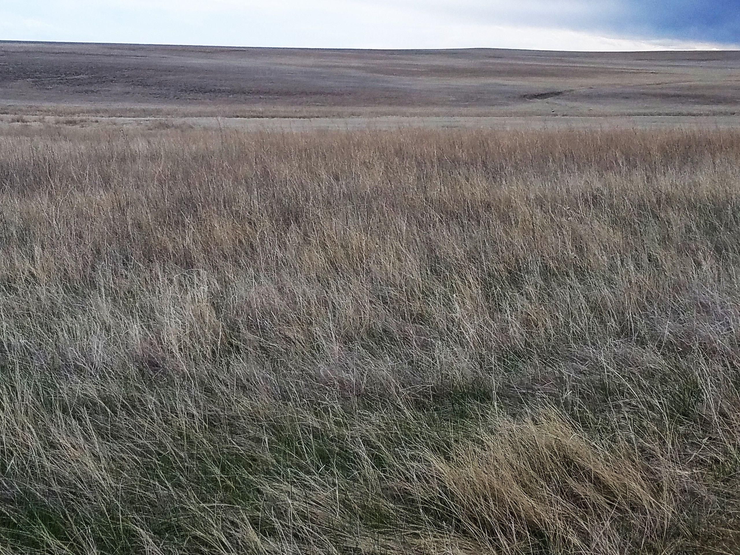 TBD CR 9, Lot WP001, Merino, CO 80741 Land and Farm