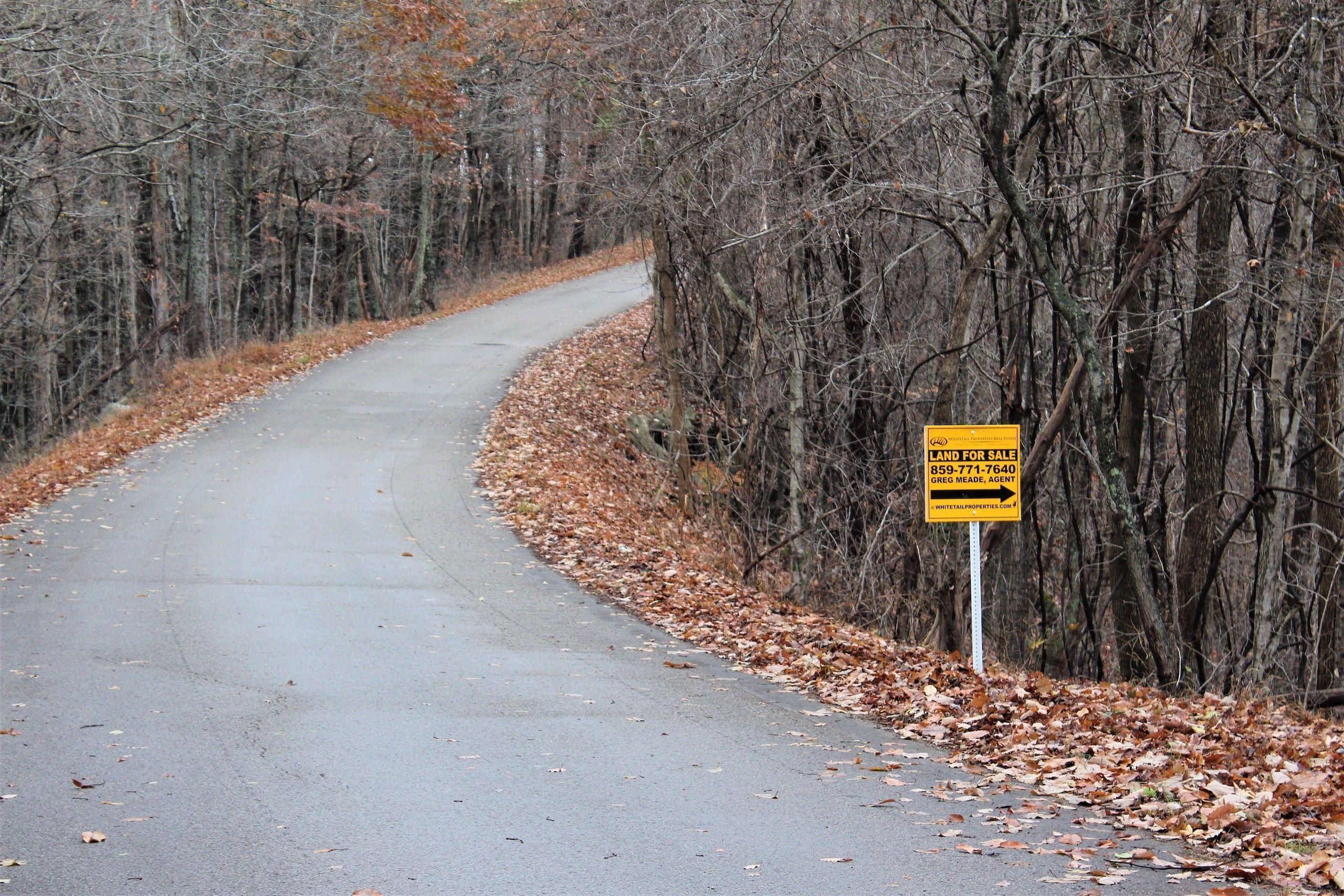 20 Acres, Eli Sparks Road, LotWP01, Irvine, KY 40336 Land and Farm