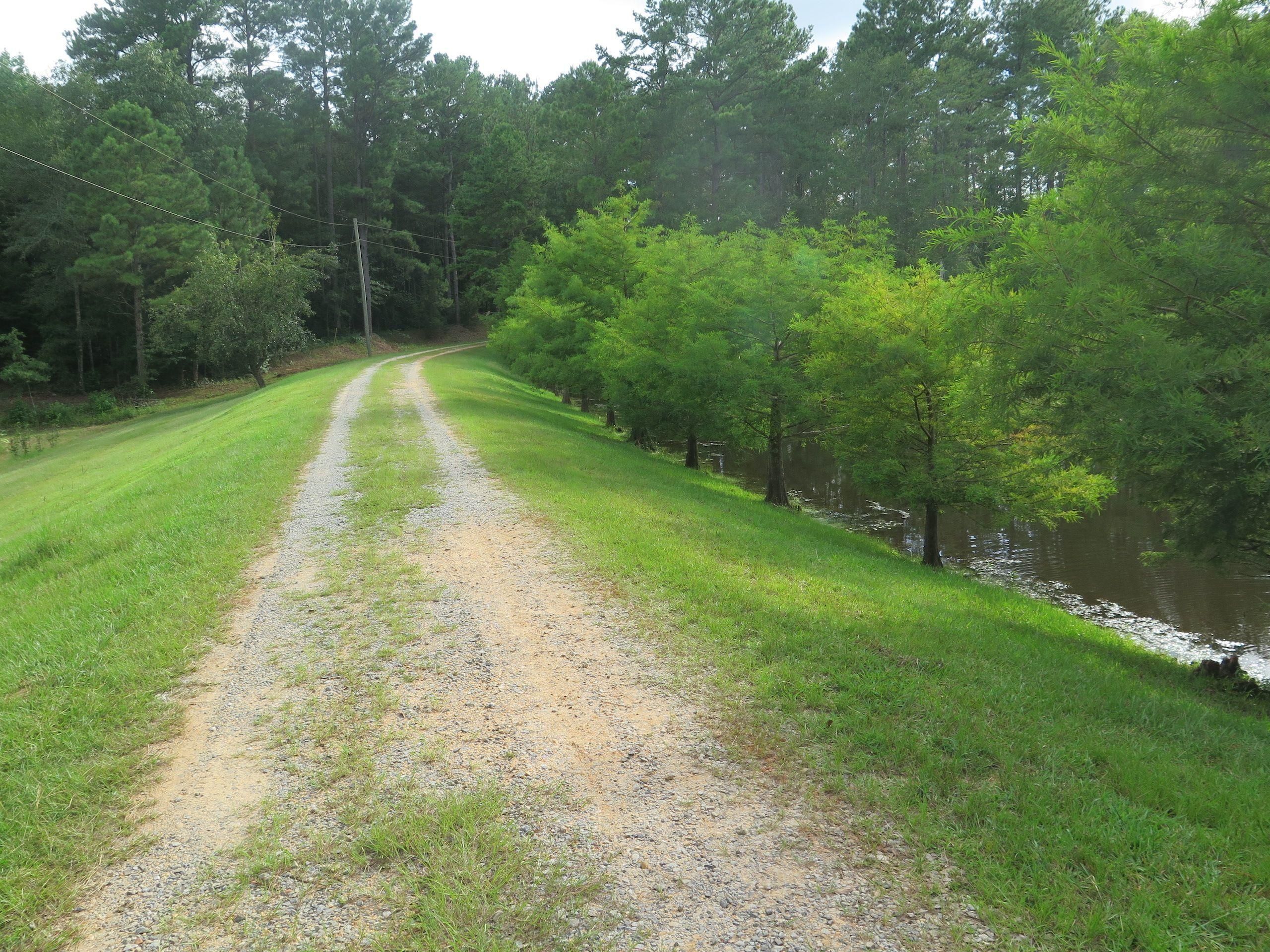 46 County Road 51310, Rose Hill, MS 39356 Land and Farm