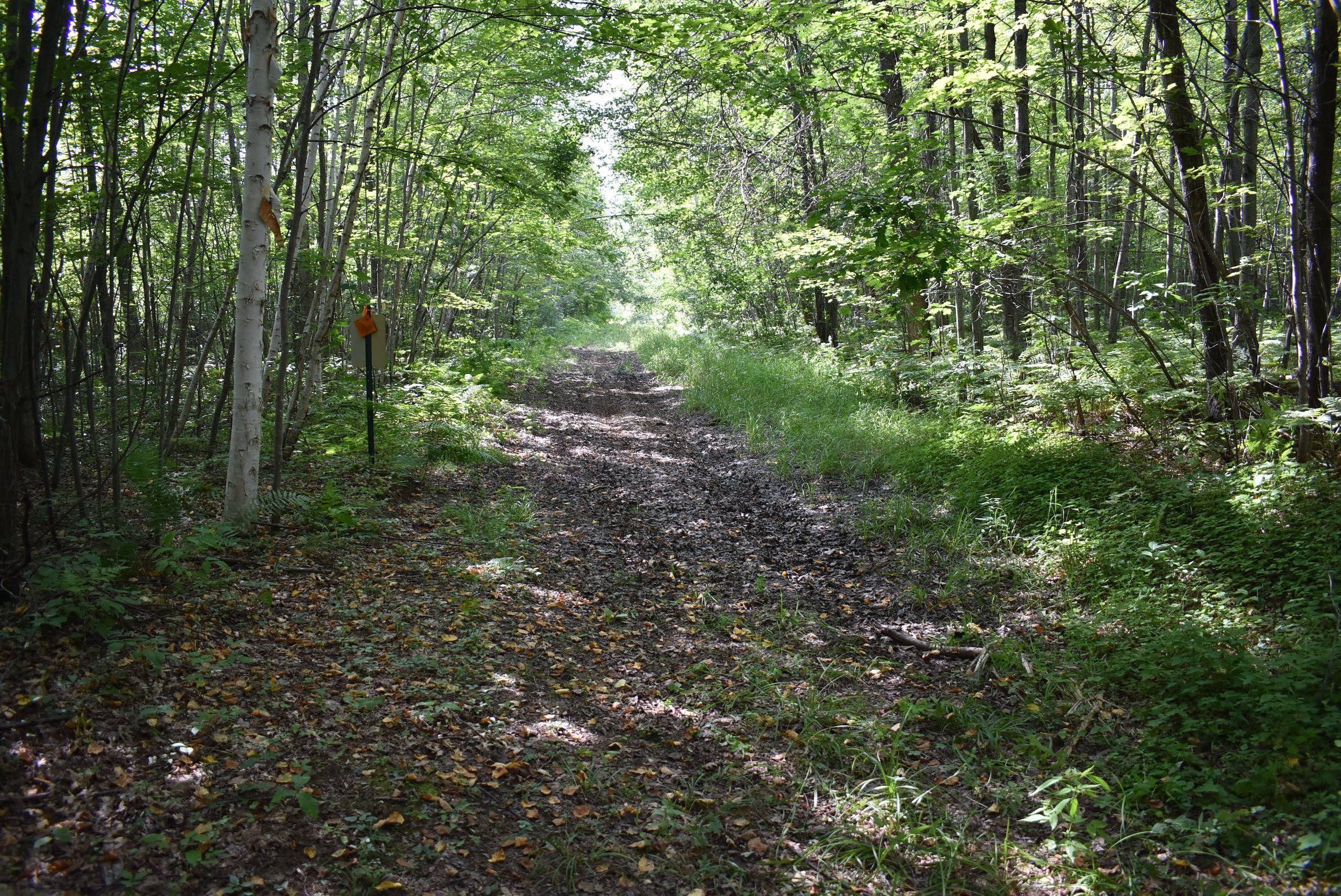 0 County Road Y, Peshtigo, WI 54157 Land and Farm