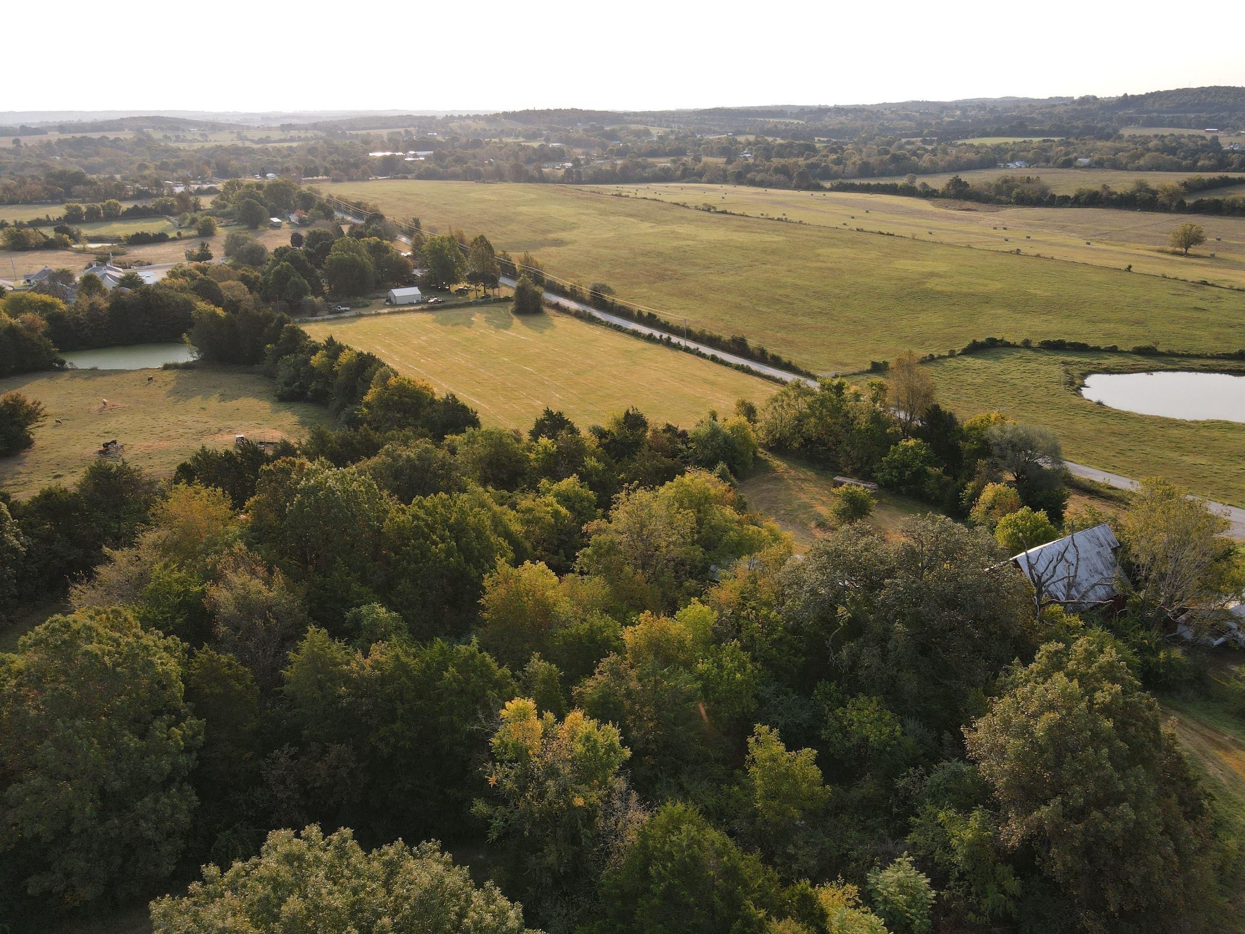Rt 1 Box 111 Gladden Street, Western Grove, AR 72685 Land and Farm