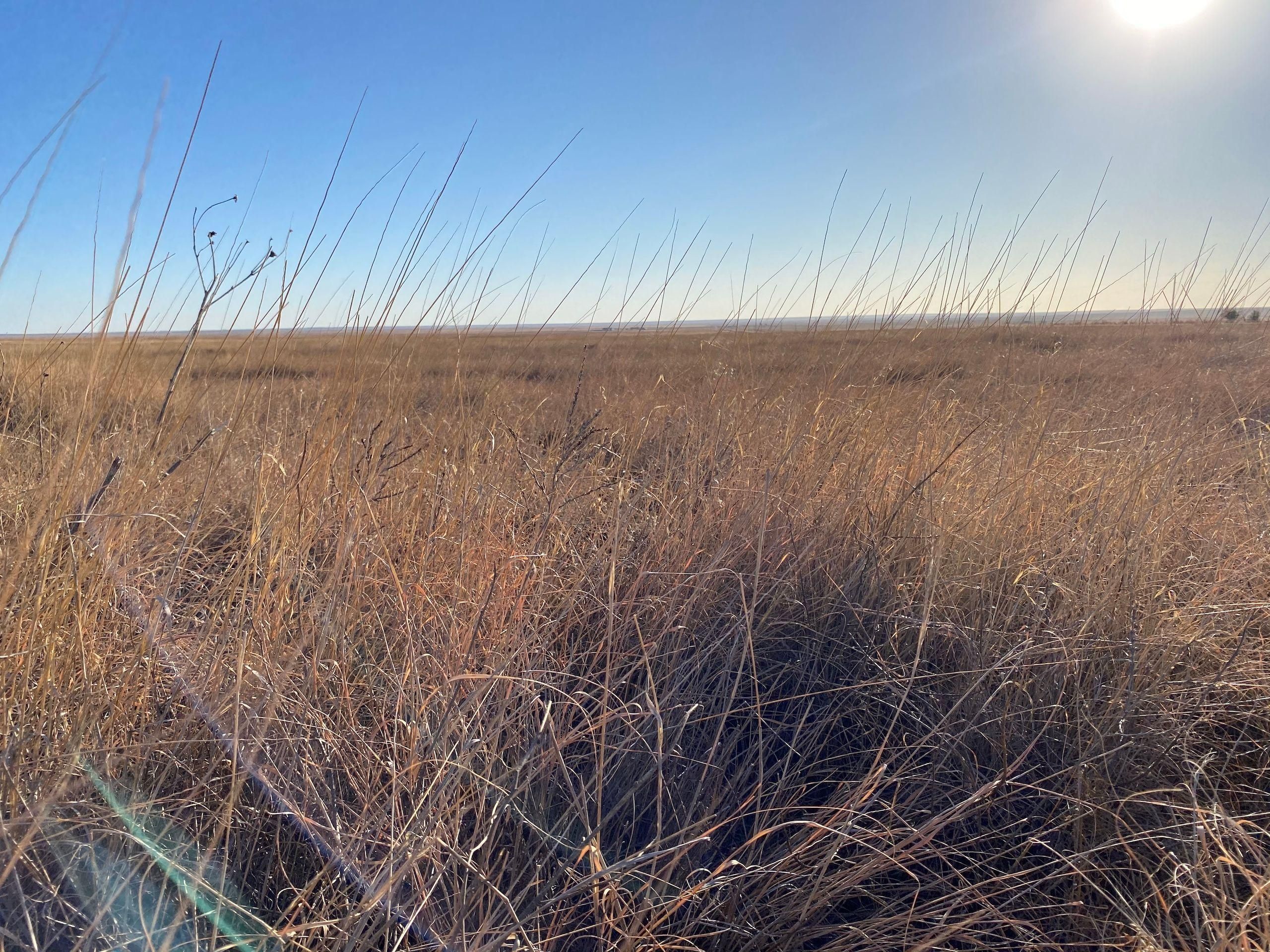 160 Acres, County Road 35, Lot WP001, Eads, CO 81036 Land and Farm