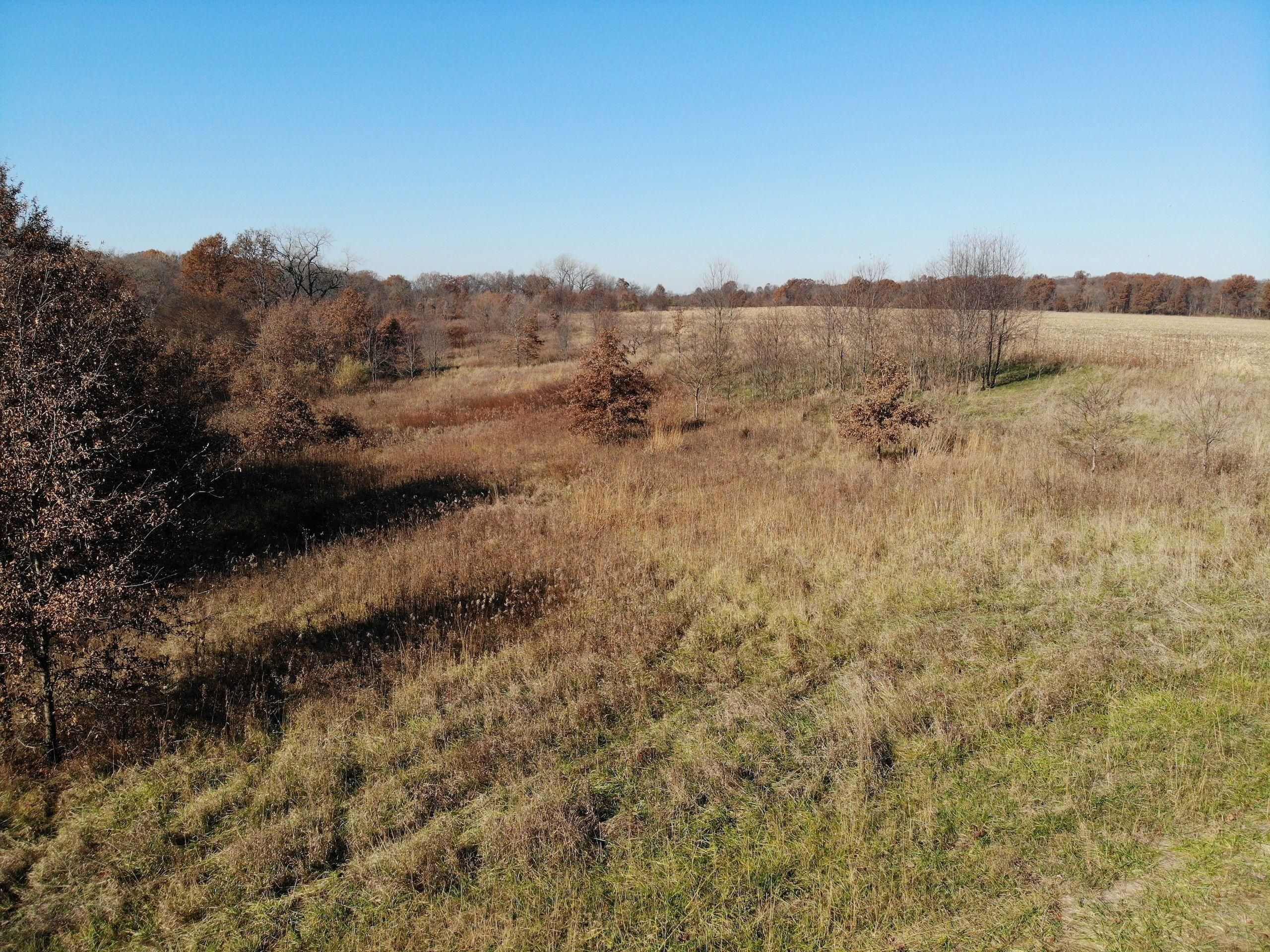 950 East Road, Assumption, IL 62510 Land and Farm