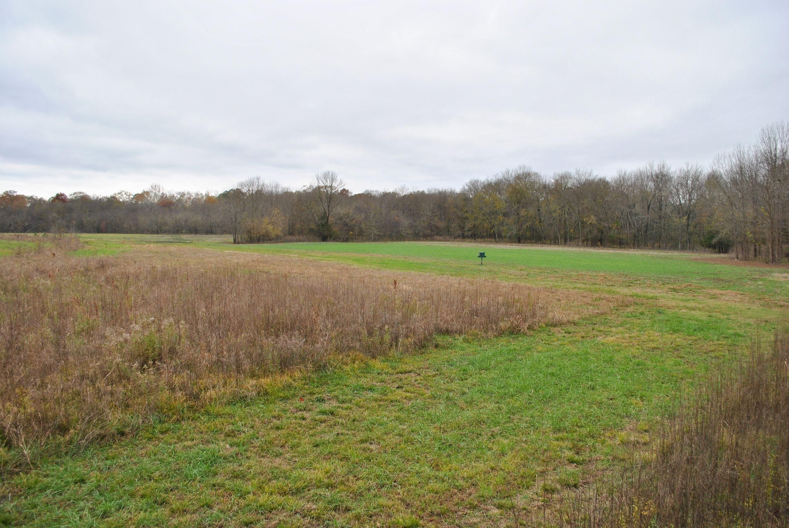 359 Pamocross Road, Boligee, AL 35443 Land and Farm