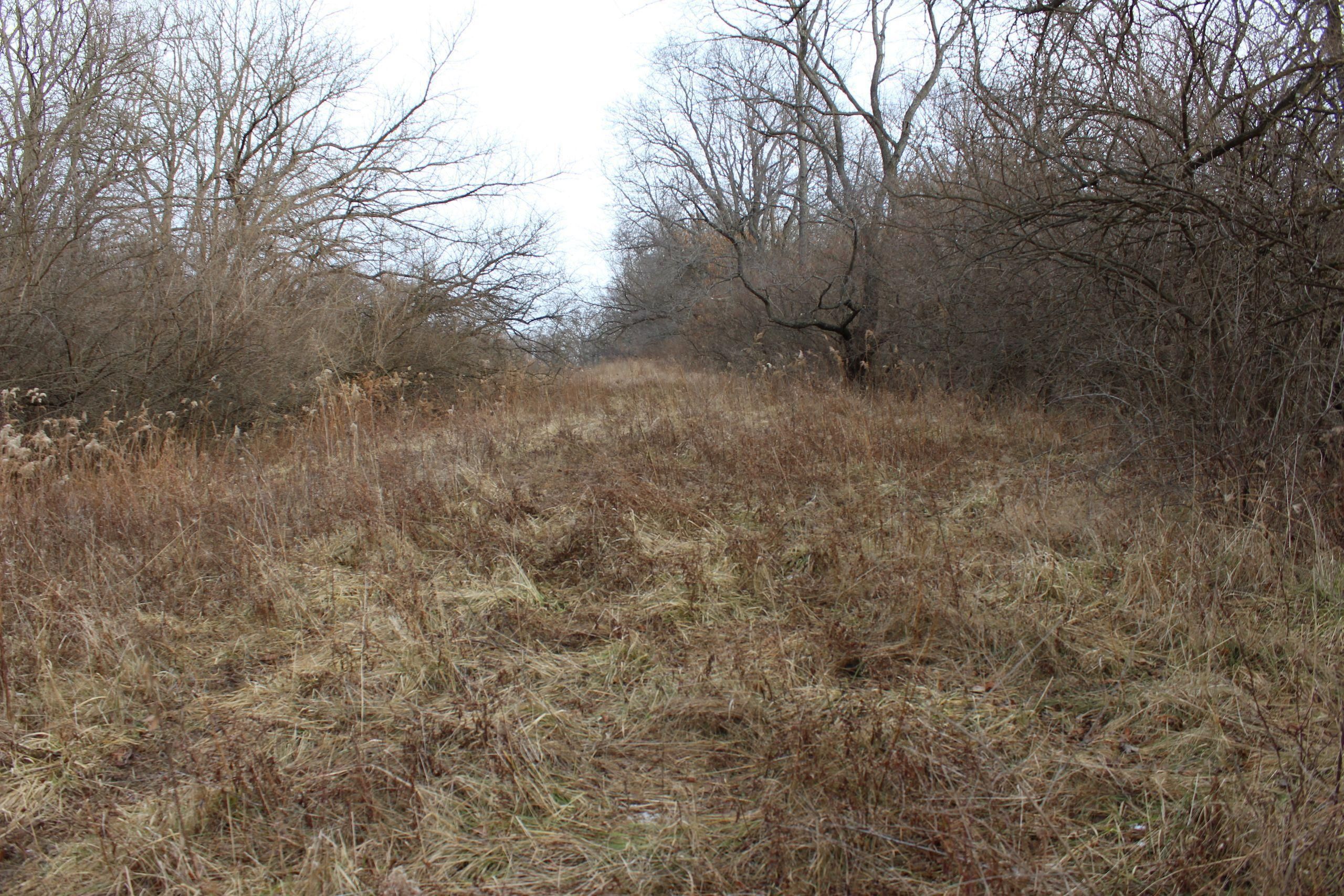 30.23 Acres, W. County Road, Lot WP001, Orion, IL 61273 Land and Farm